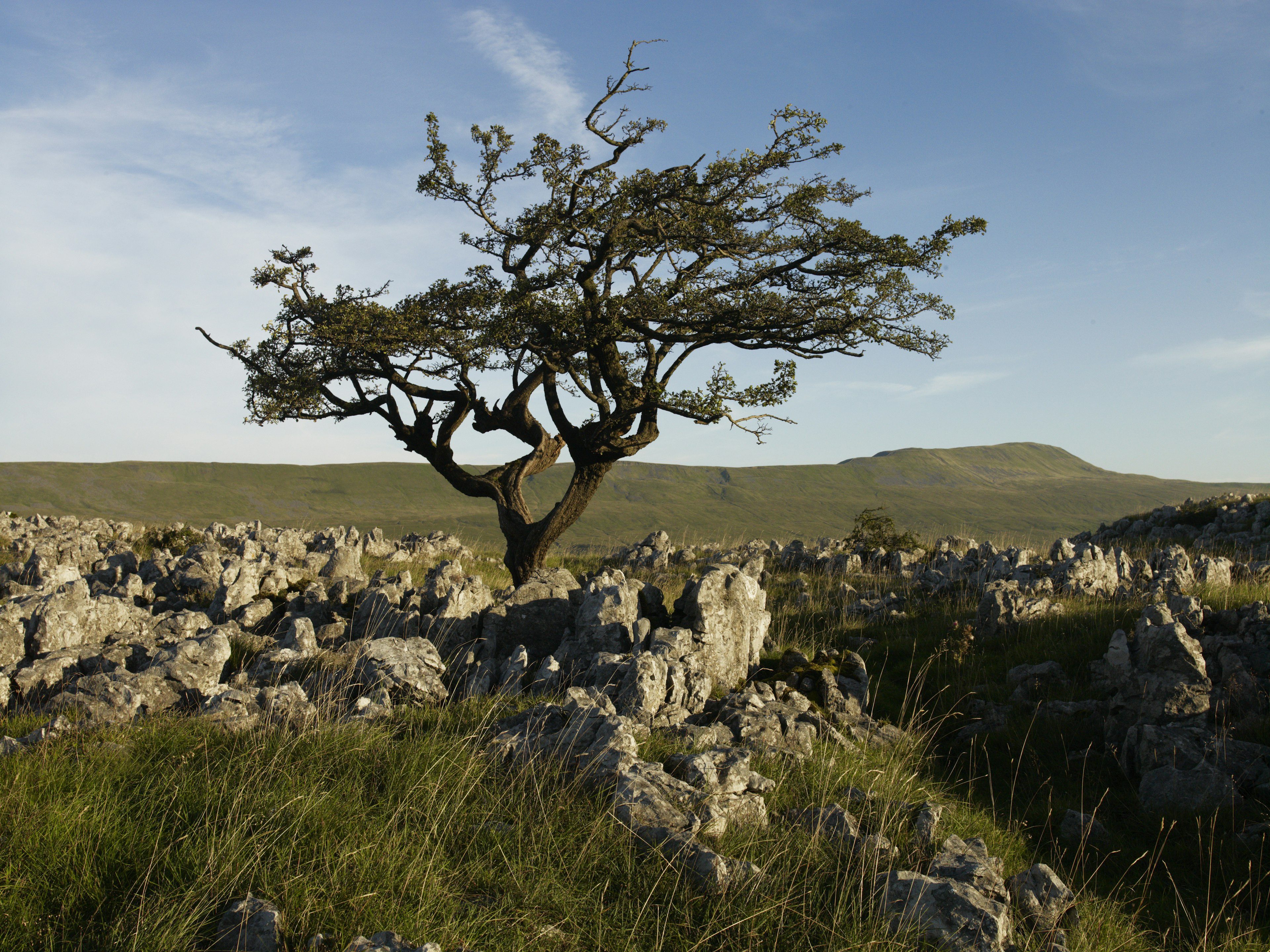 View across the Yorkshire Dales