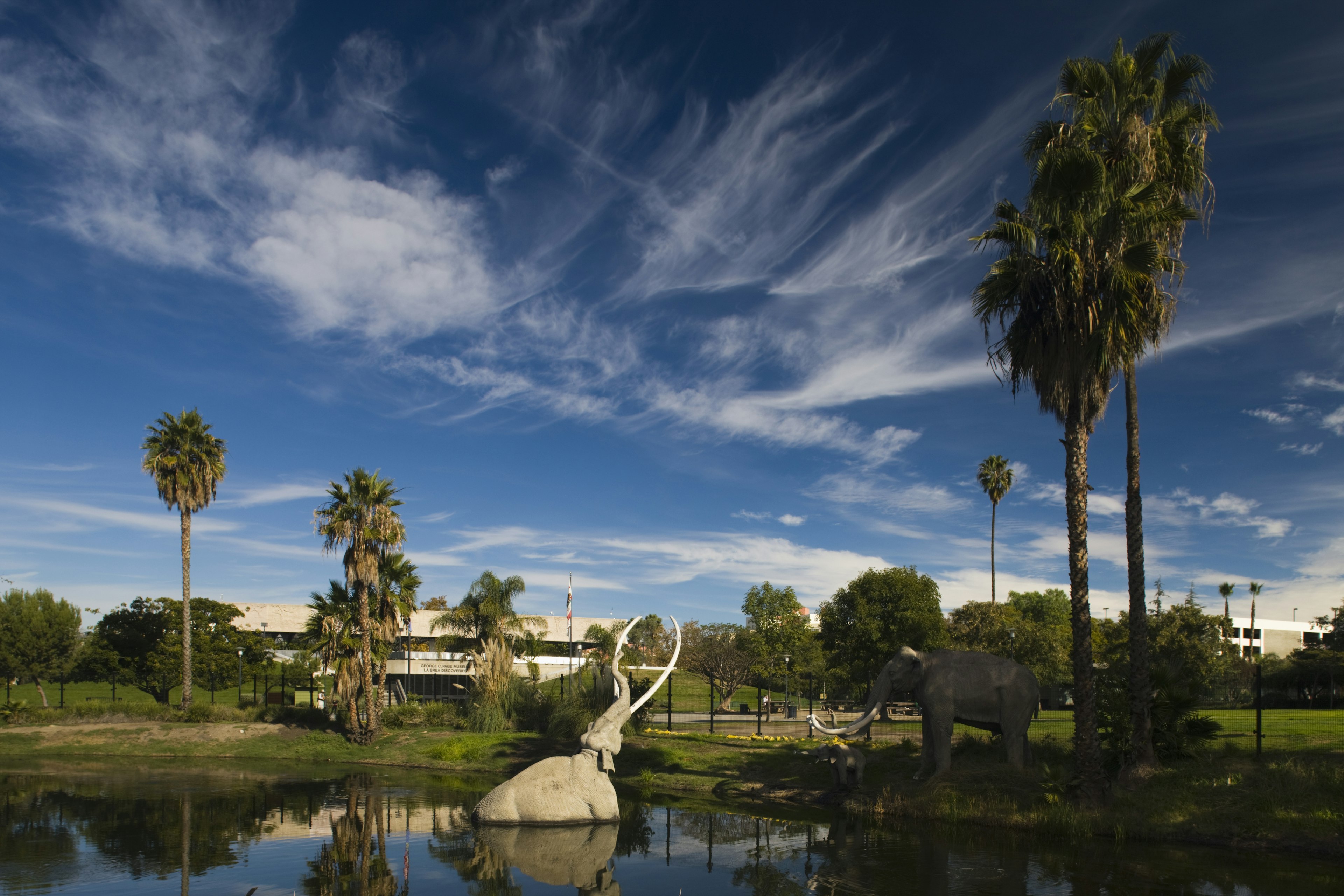 La Brea Tar Pits