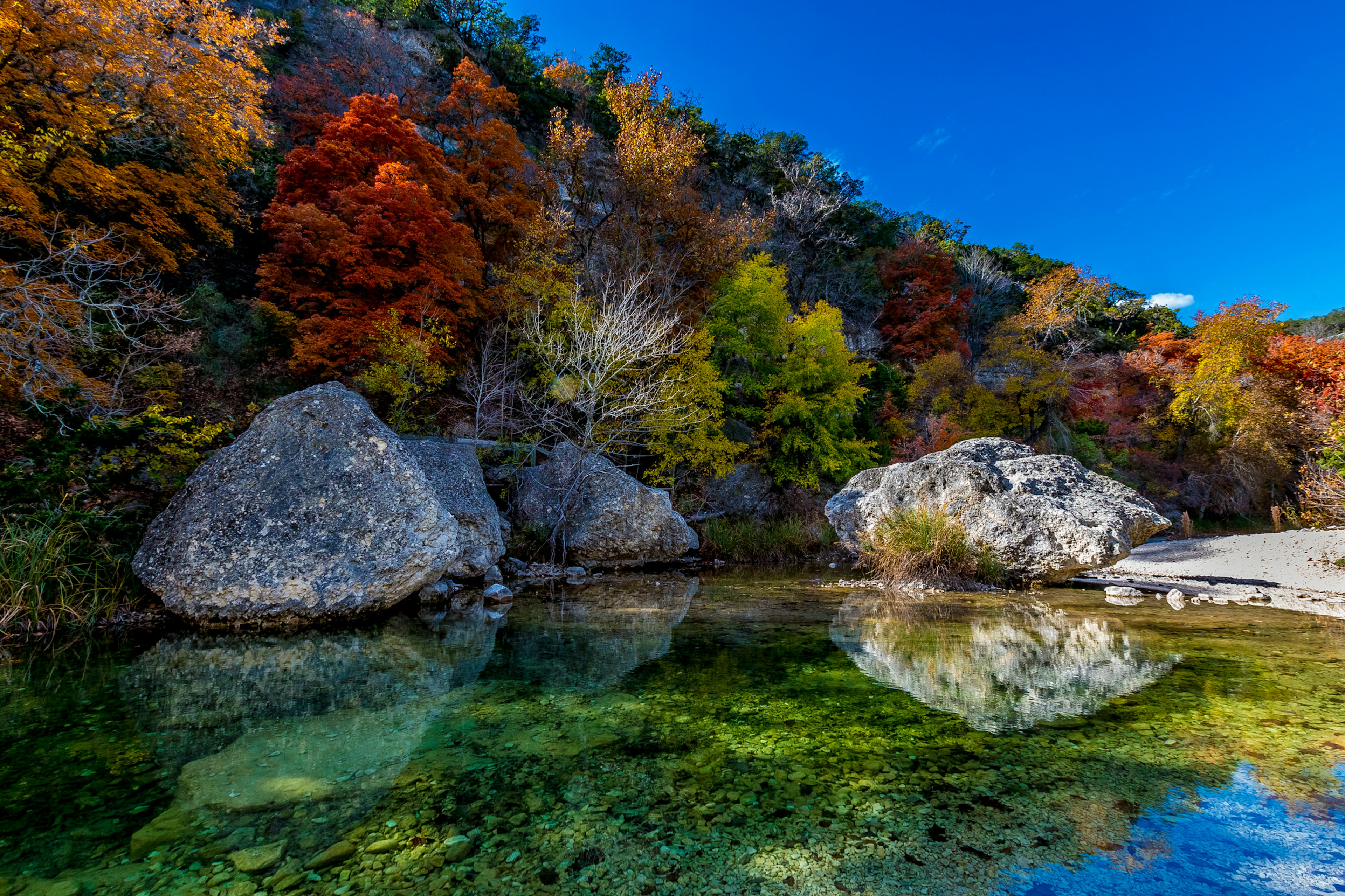 Amazing Fall Colors at Clear Pool in Lost Maples State Park, Texas