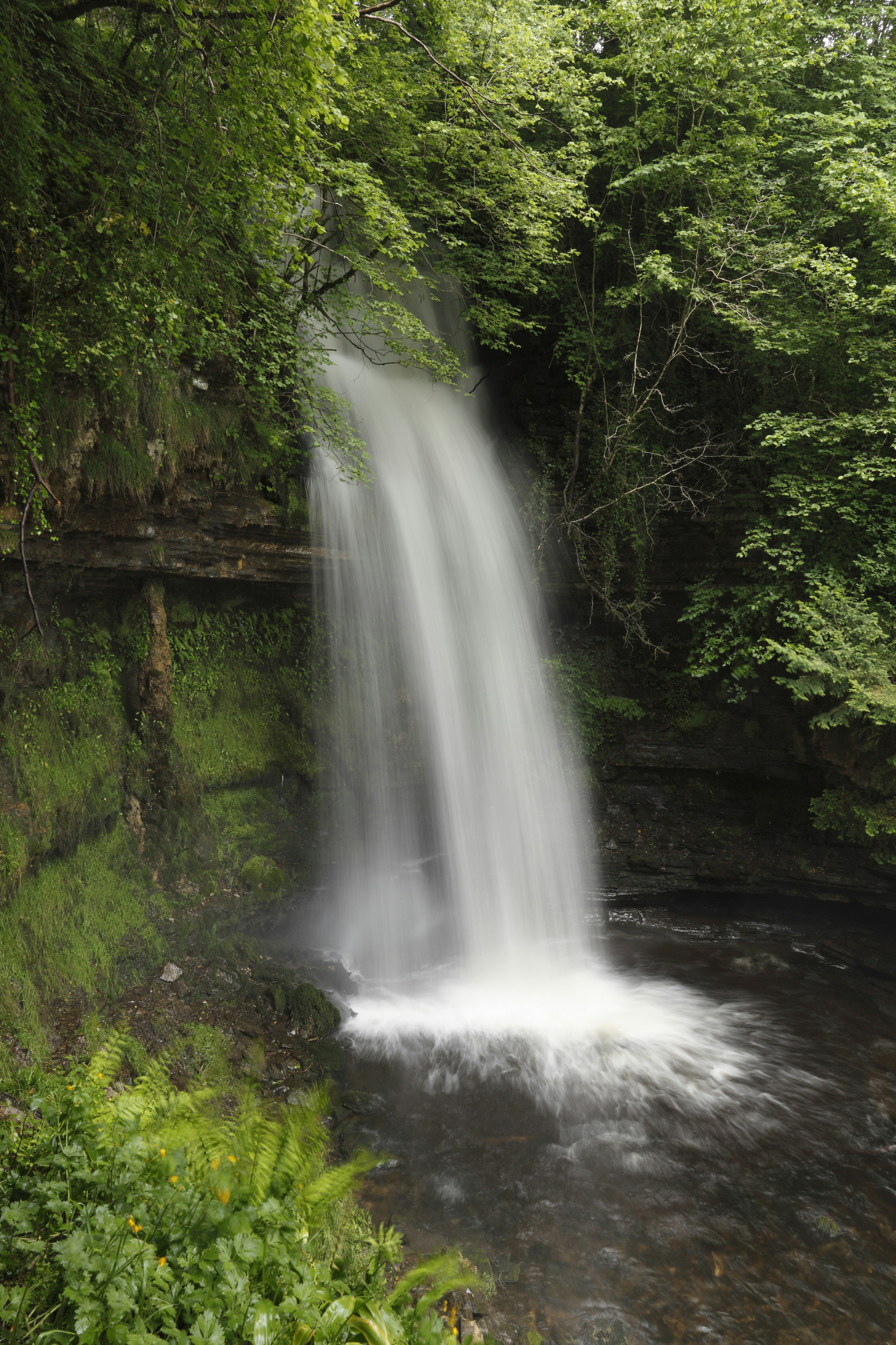 A small waterfall collects in a shallow pool surrounded by green trees and shrubbery