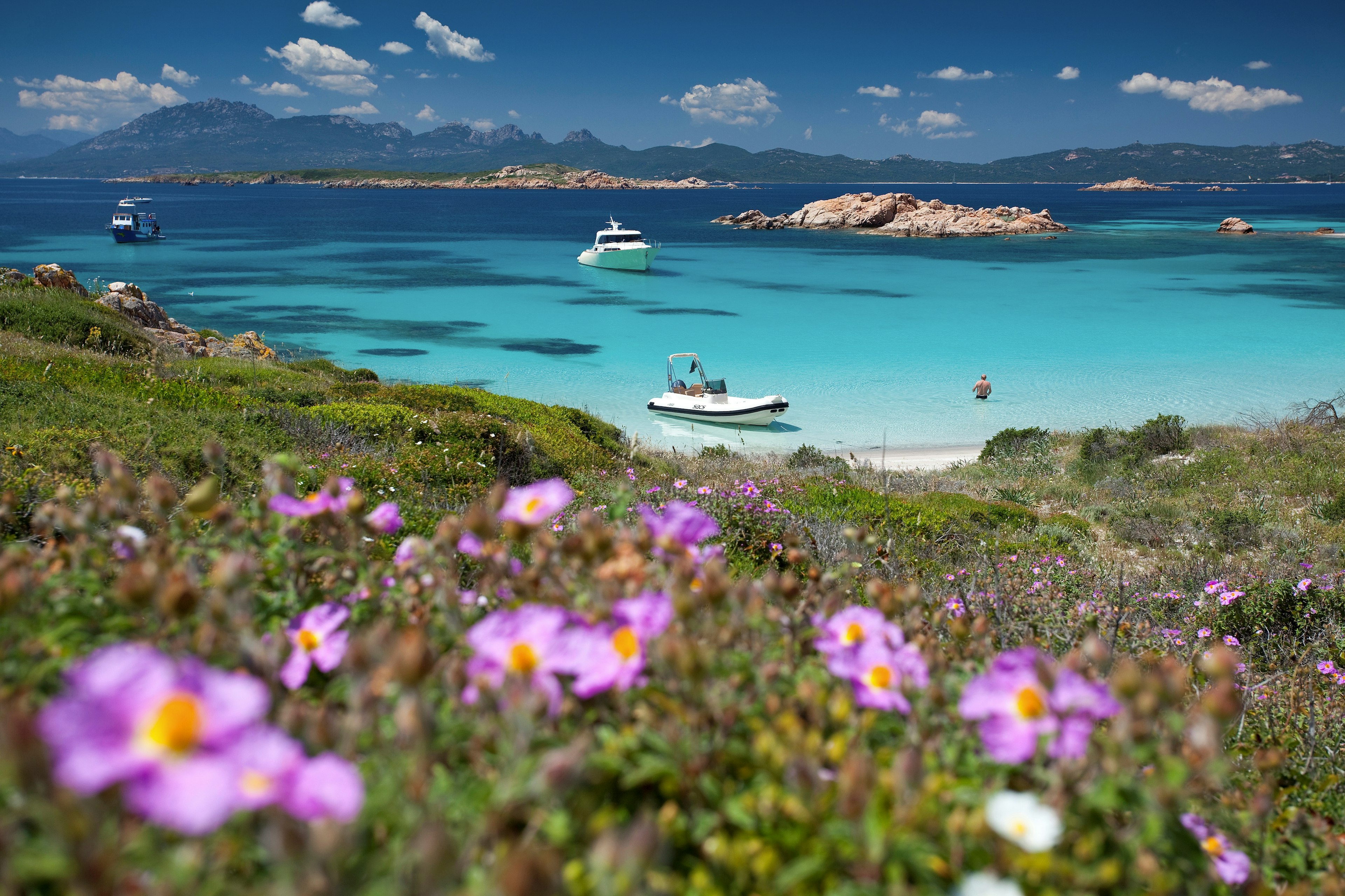 A view of Parco Nazionale dell'Arcipelago di la Maddalena. In the foreground of the image are a number of wild flowers growing on one of the islands of the archipelago, while in the background a blue sea is visible, with a couple of boats bobbing on it.