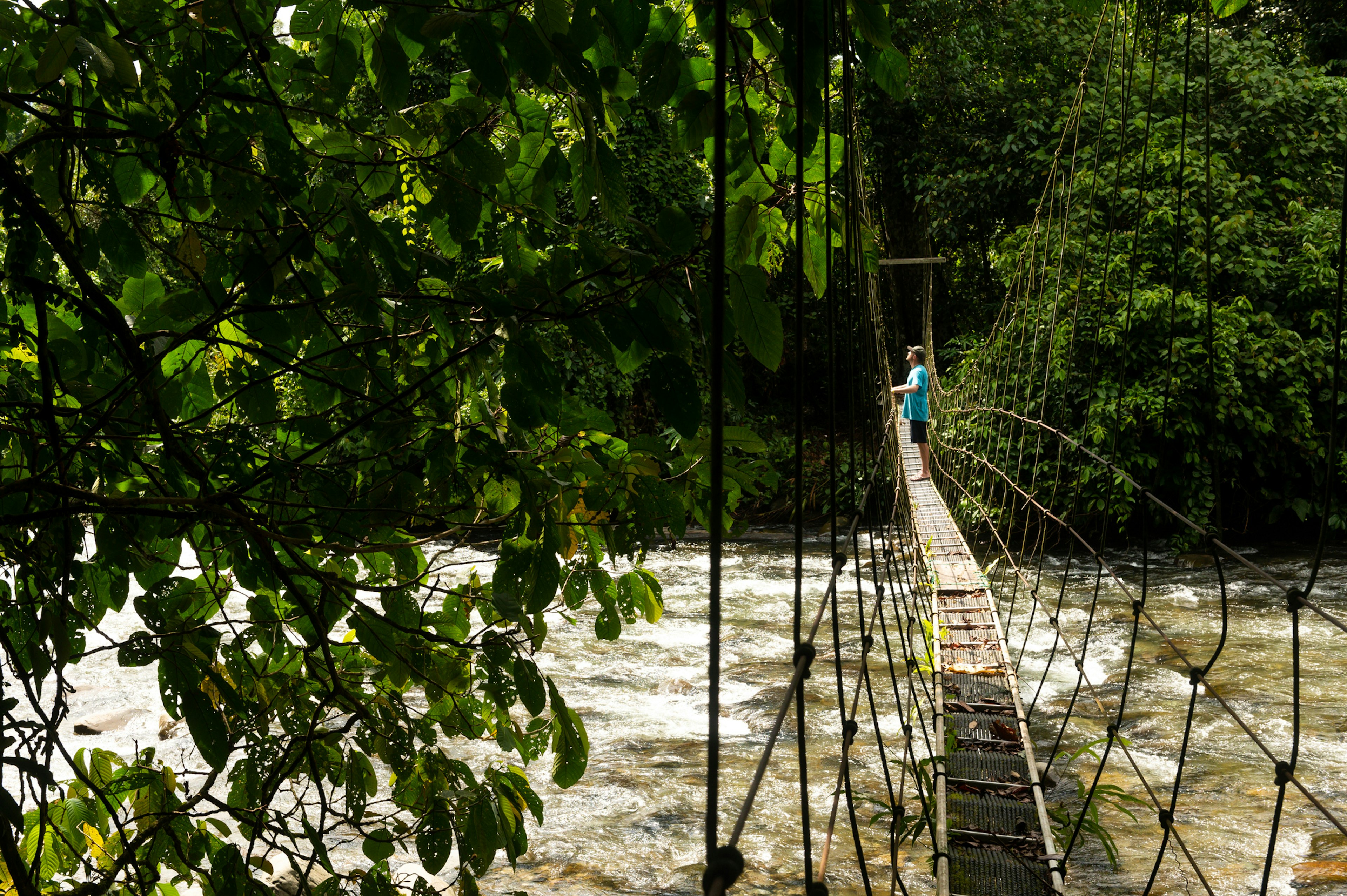 A solo hiker stands on a rope bridge over a river in the jungle