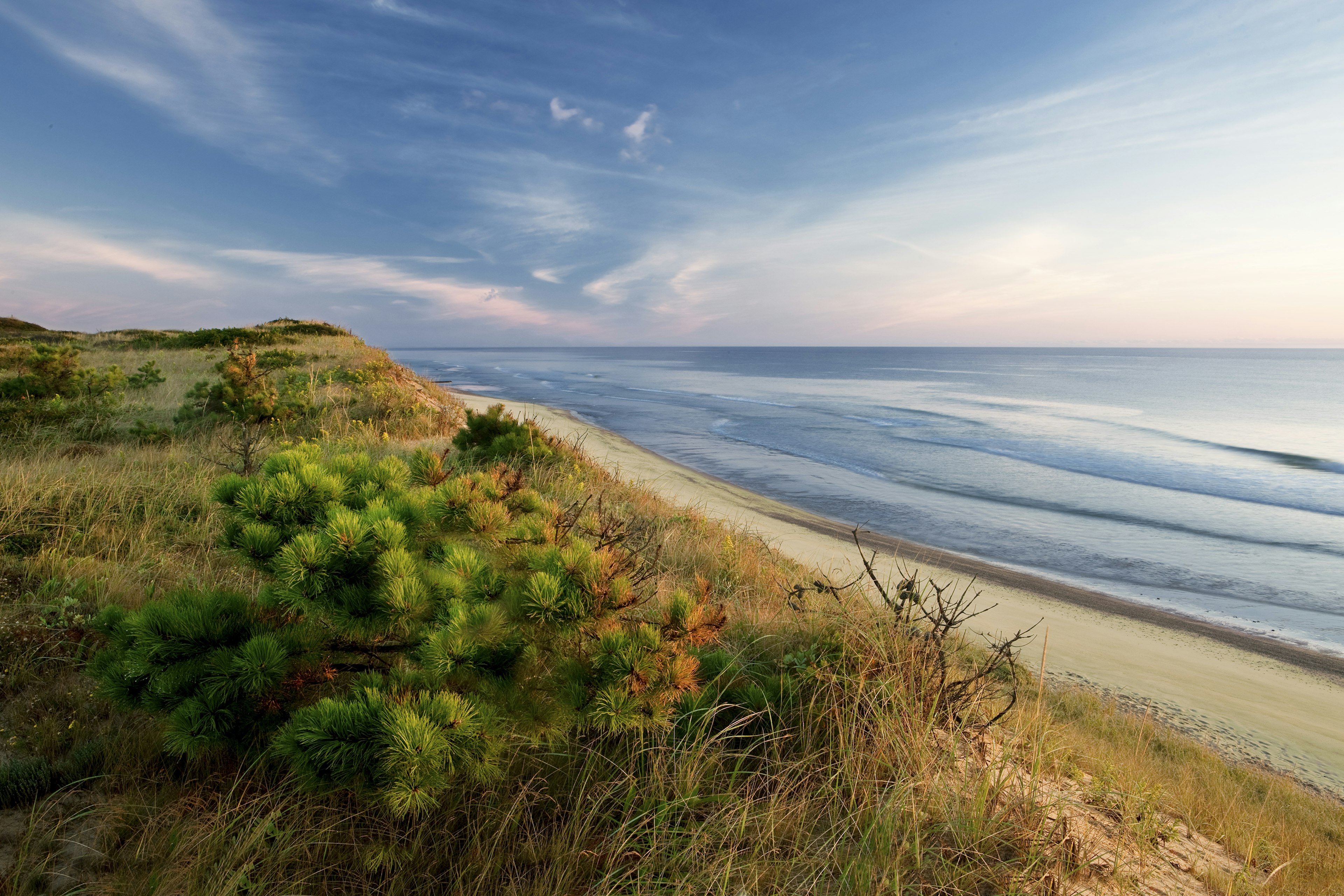 Marconi beach, wellfleet