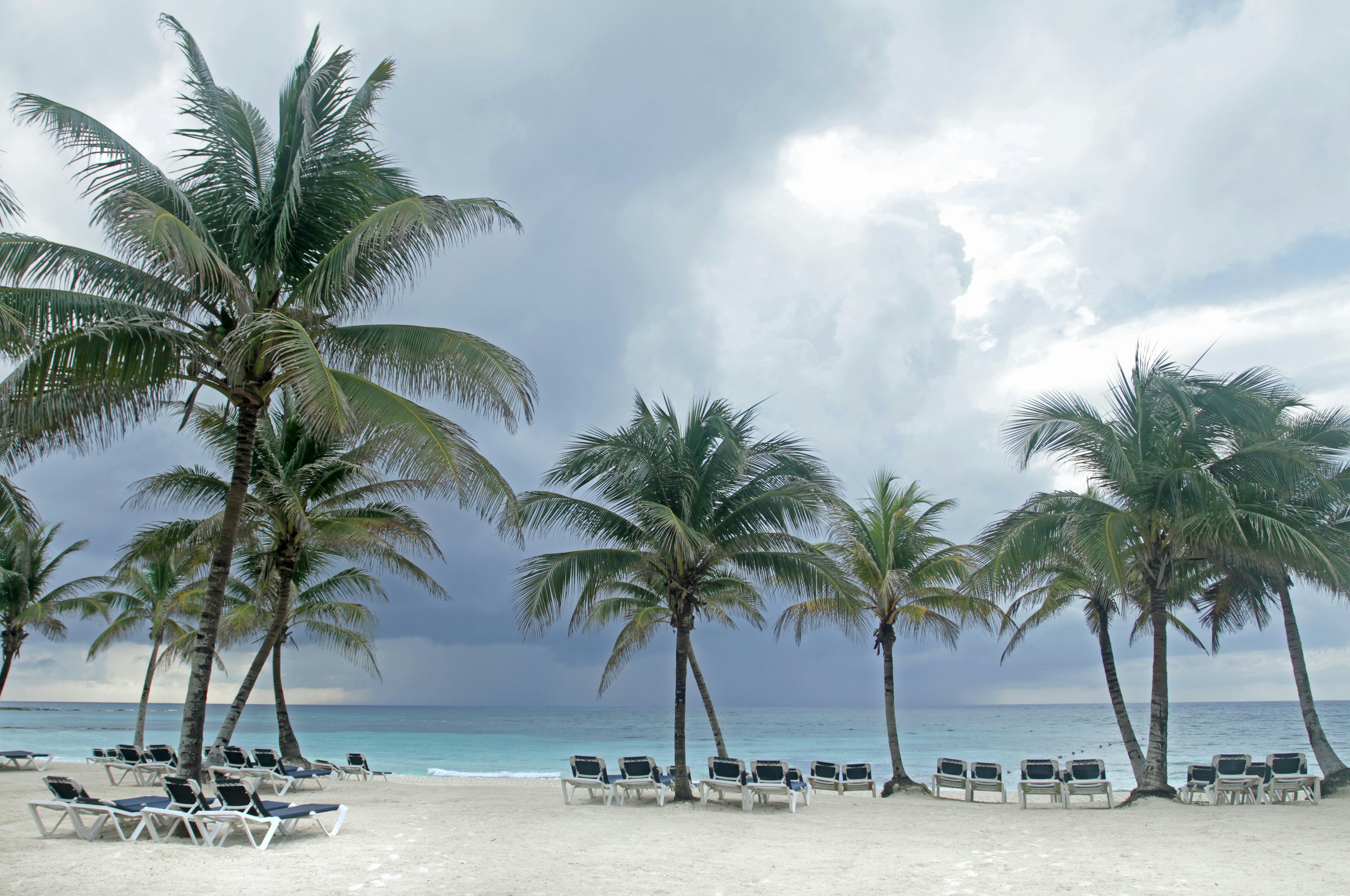 Tropical storm out at sea, with huge grey clouds and sheets of rain coming down approaching a palm-lined beach