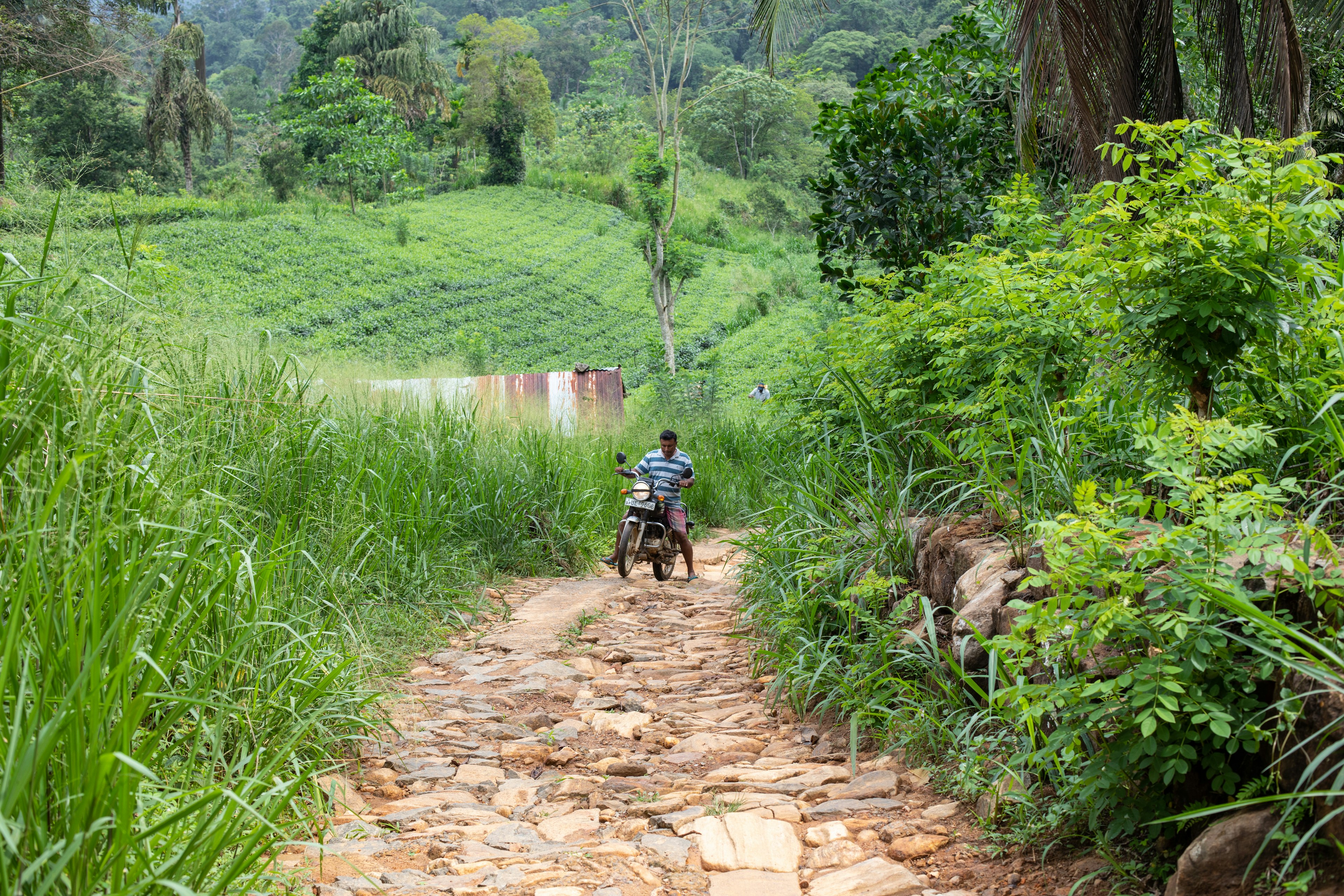 A young local man navigates his motorcycle up the single rural, uneven road in the small town of Deniyaya in Sri Lanka.