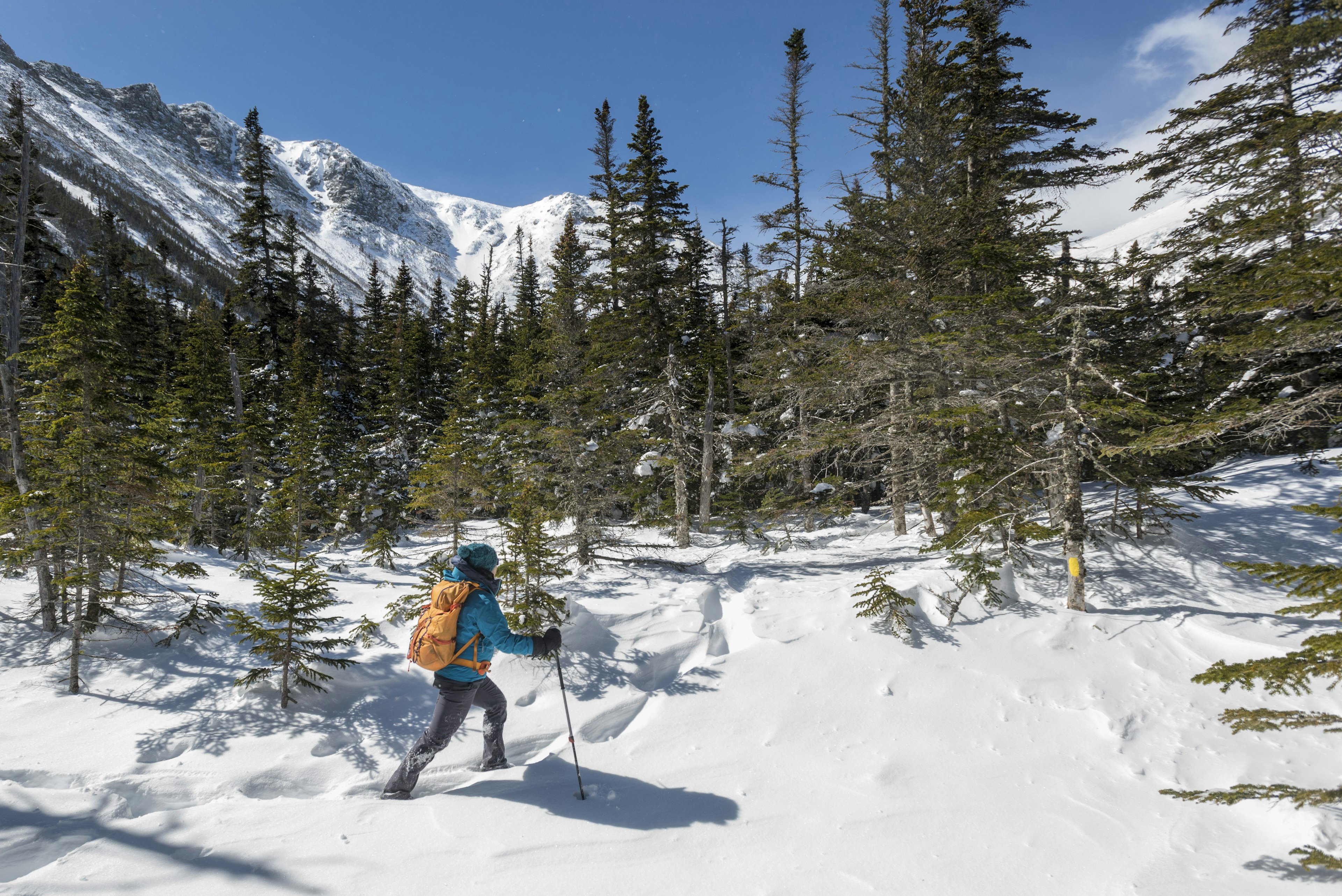 A young woman hiking on a sunny, snowy winter day in the White Mountains of New Hampshire.