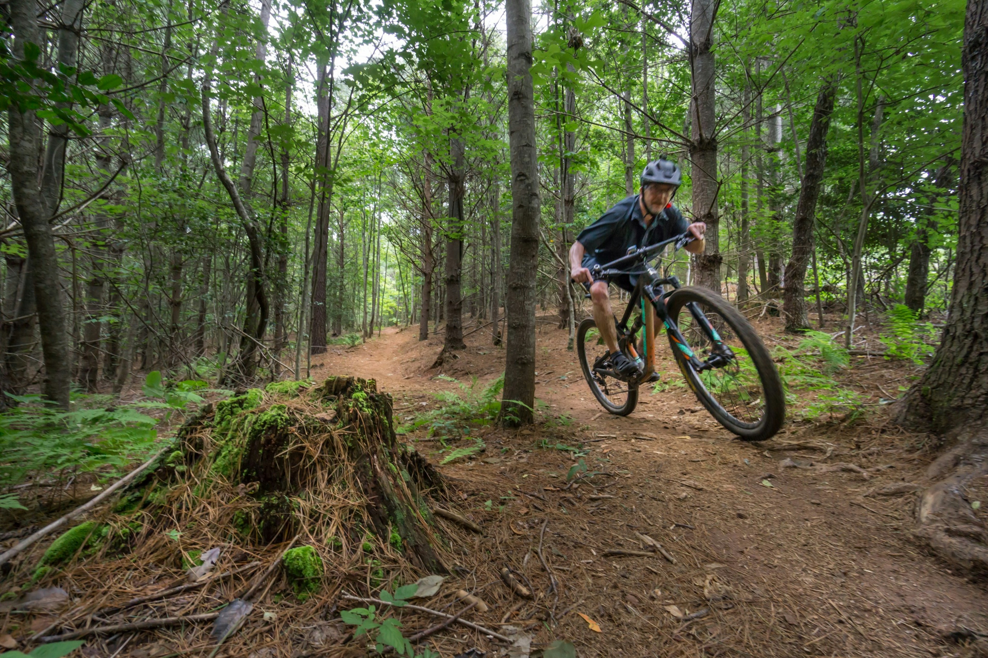 Mountain biker flies through the lush forest greenery on the trail in Lake James park, North Carolina.