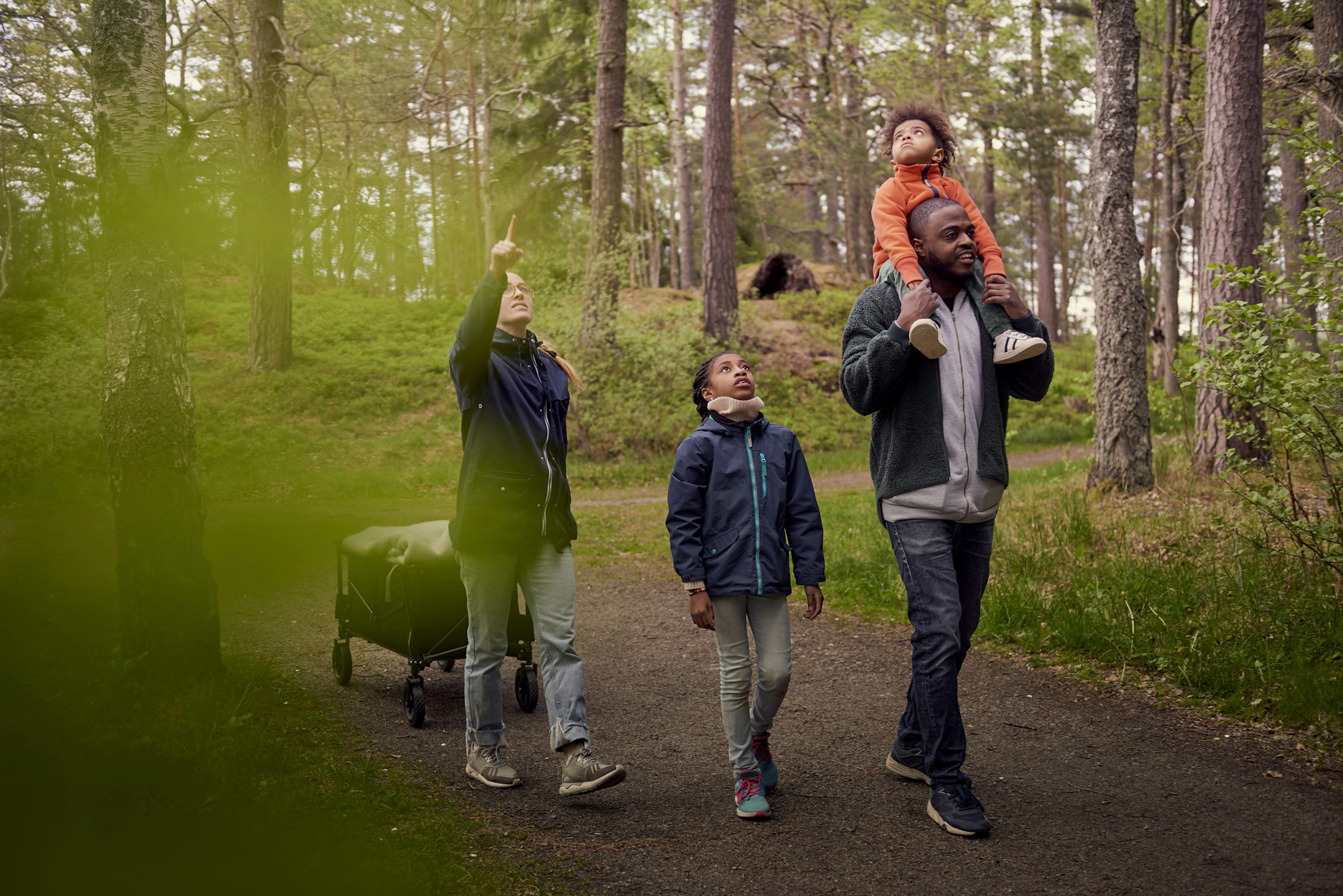 Woman pointing up to family while hiking in forest