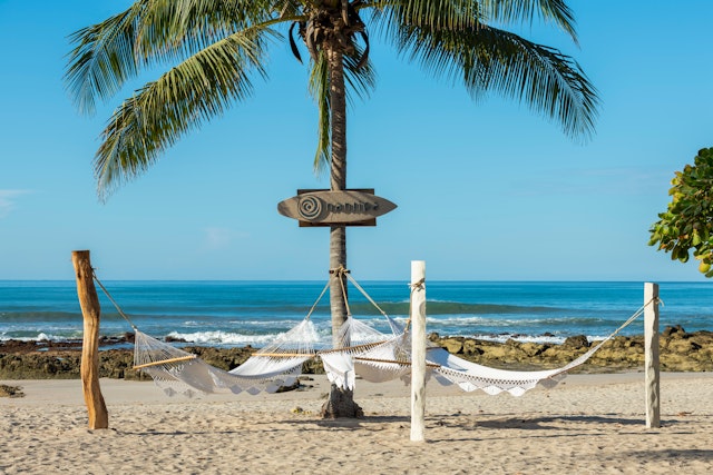Hammocks hang on frames on a beach near a wooden surf-board-like sign on a palm tree that says