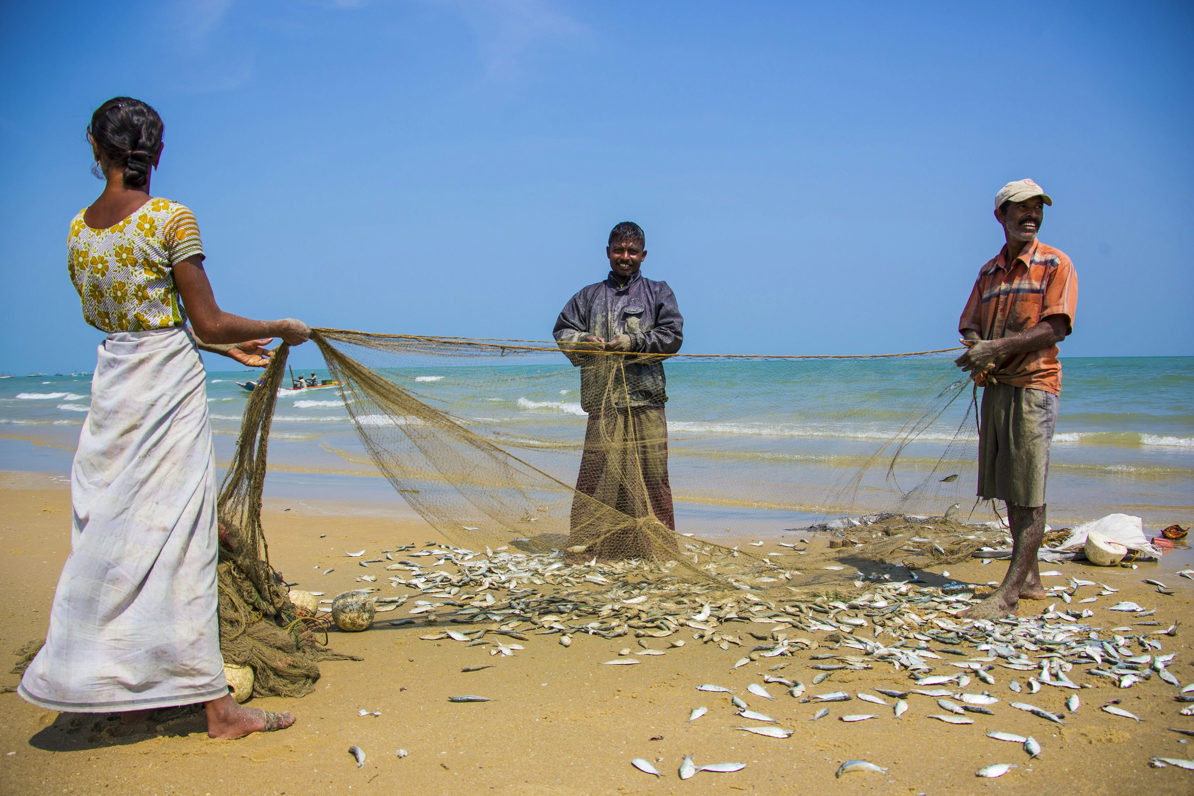 Fish haul on Nagadeepa Island in Jaffna, Sri Lanka.