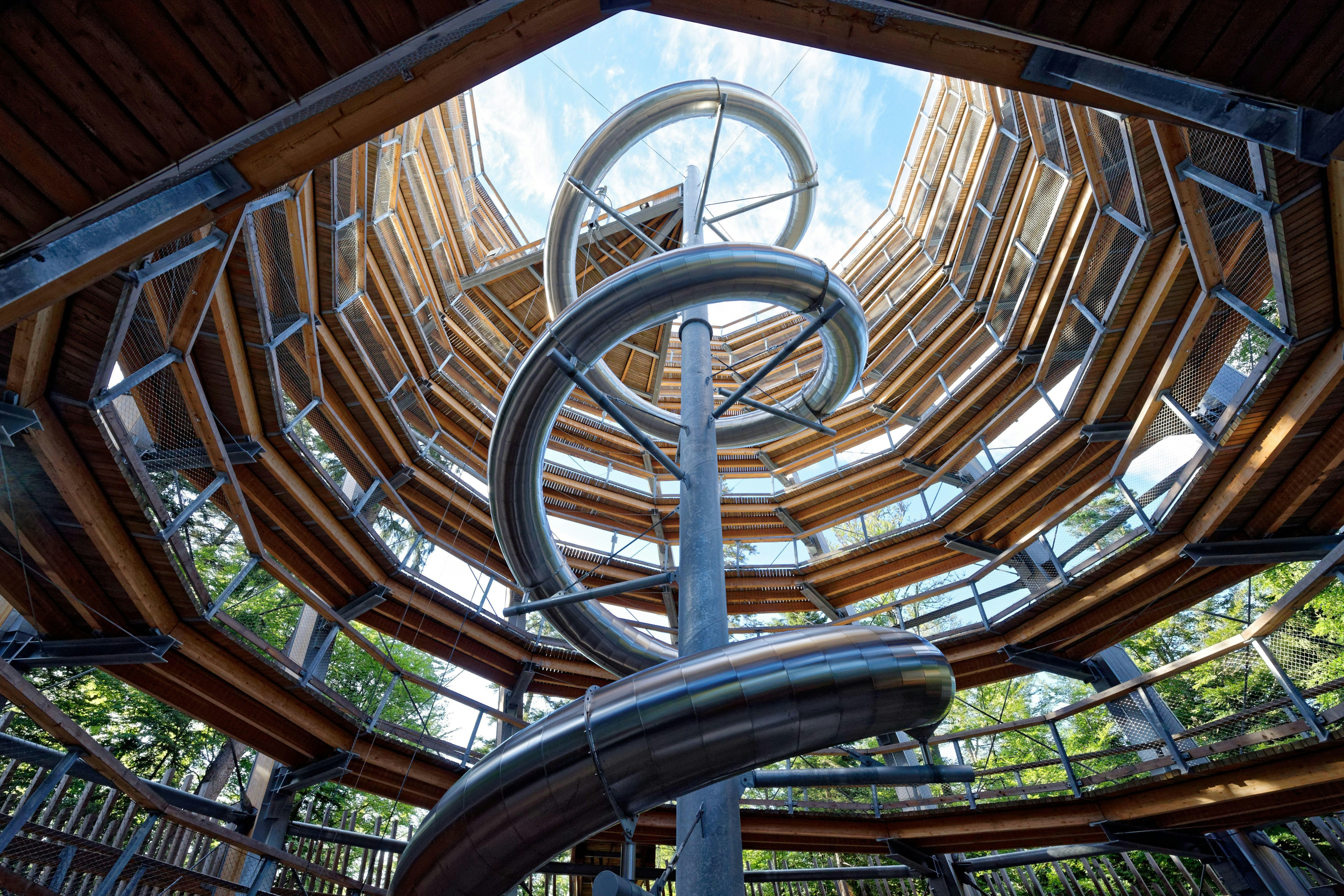 A shot up the inside of a spiral walkway winding upwards towards the tree canopy