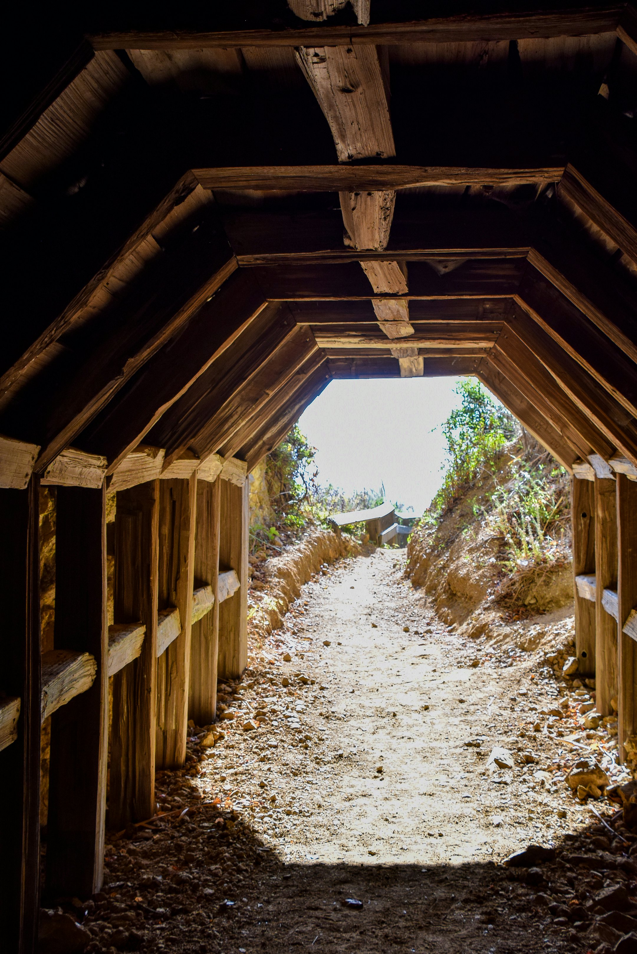 Tunnel to Partington Cove in Julia Pfeiffer State Park