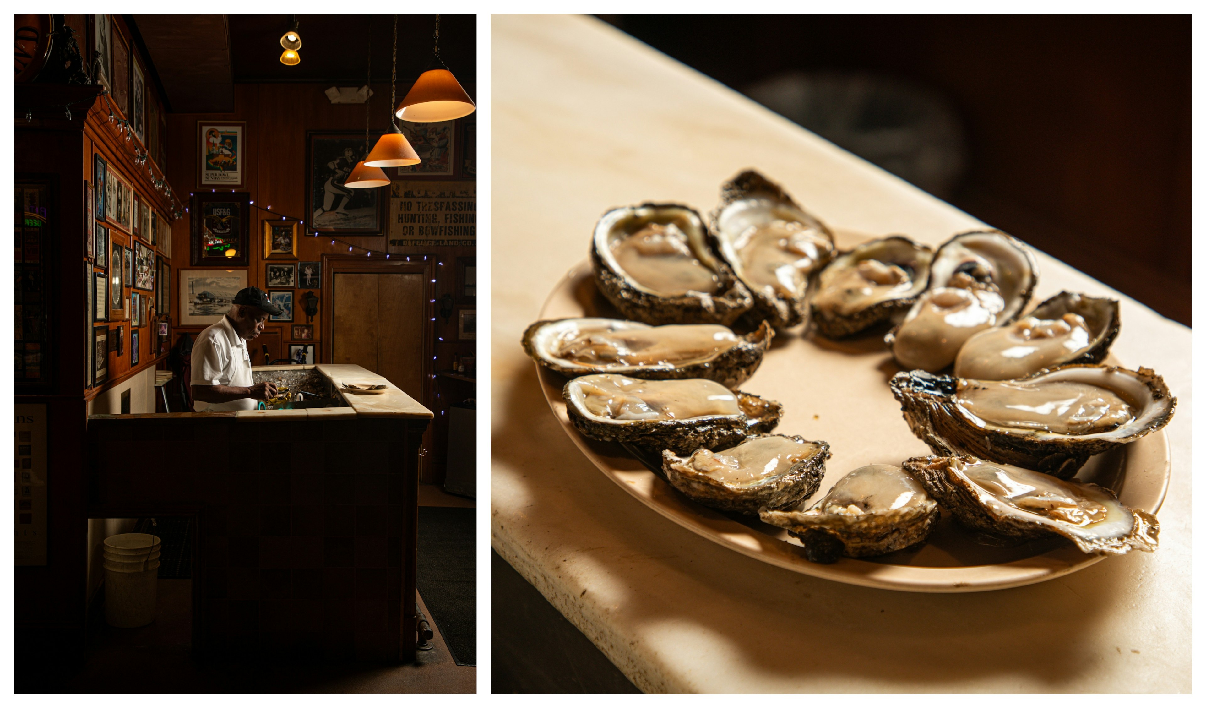 A man shucks oysters and alongside a plate of fresh oysters