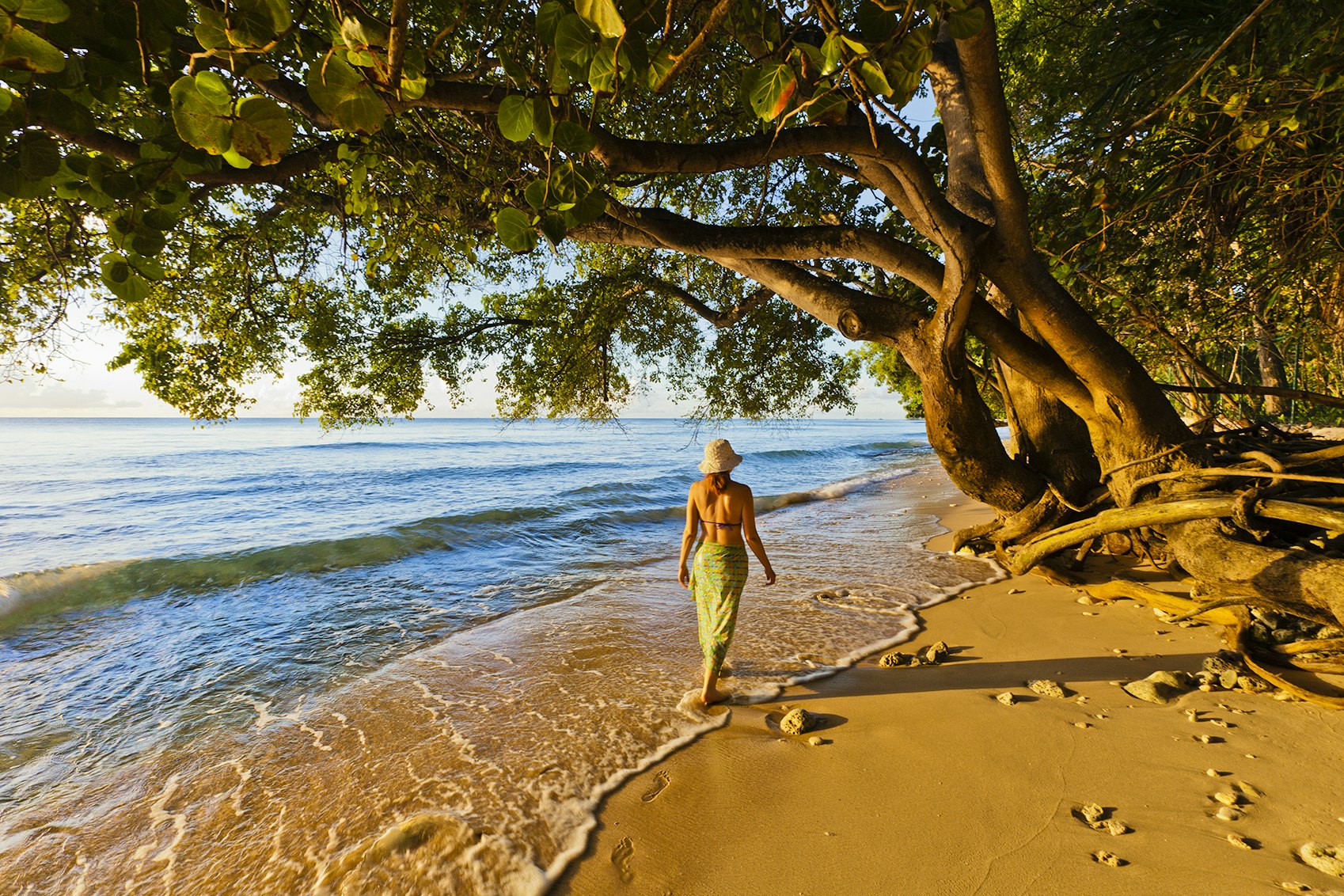 A woman wearing a straw hat, bikini top and sarong walks on the shore at Paynes Bay at sunset, Barbados