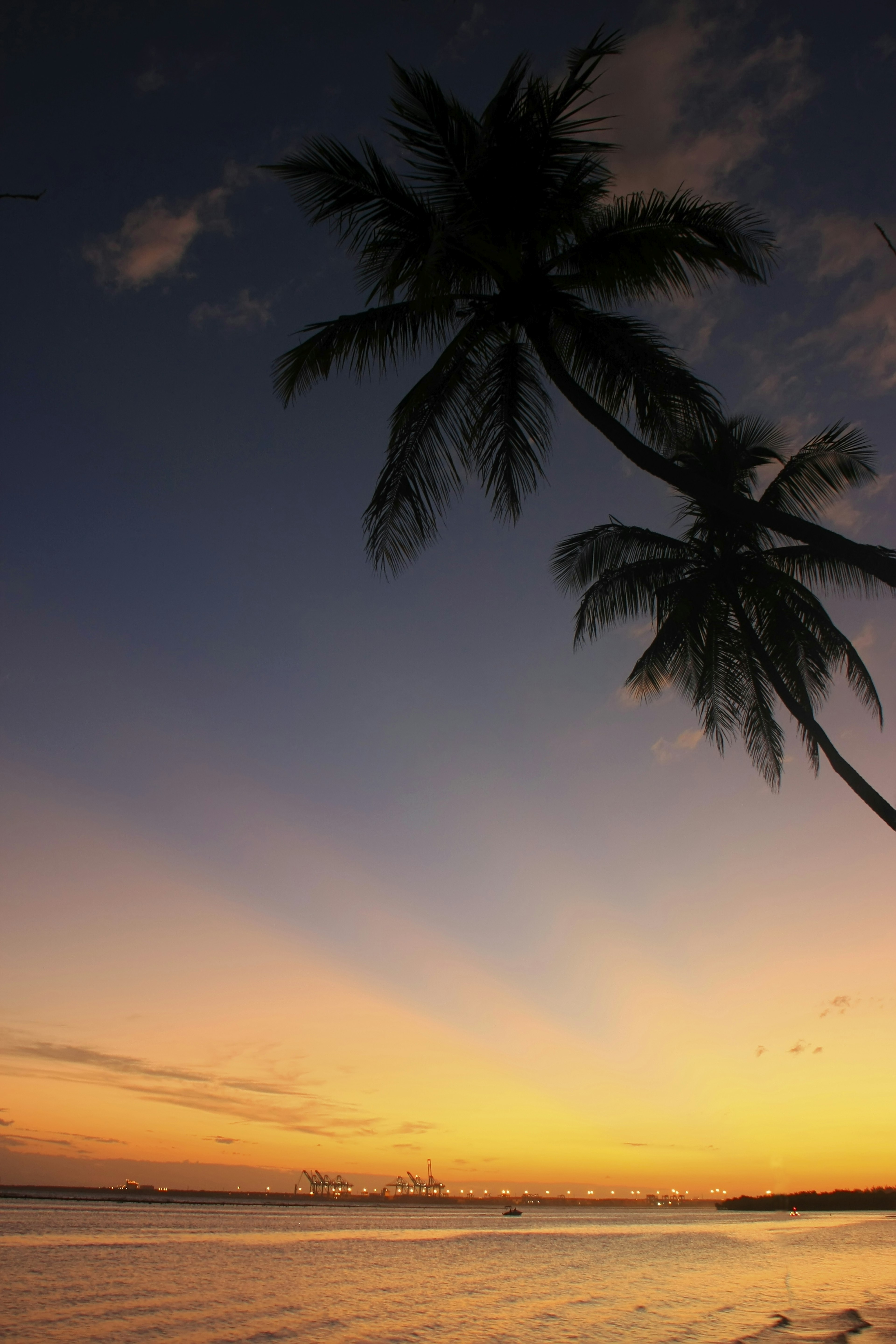 Gentle waves ripple on the sea as the sun sets on Playa Boca Chica. There are a pair of palm trees at the top of the photo.