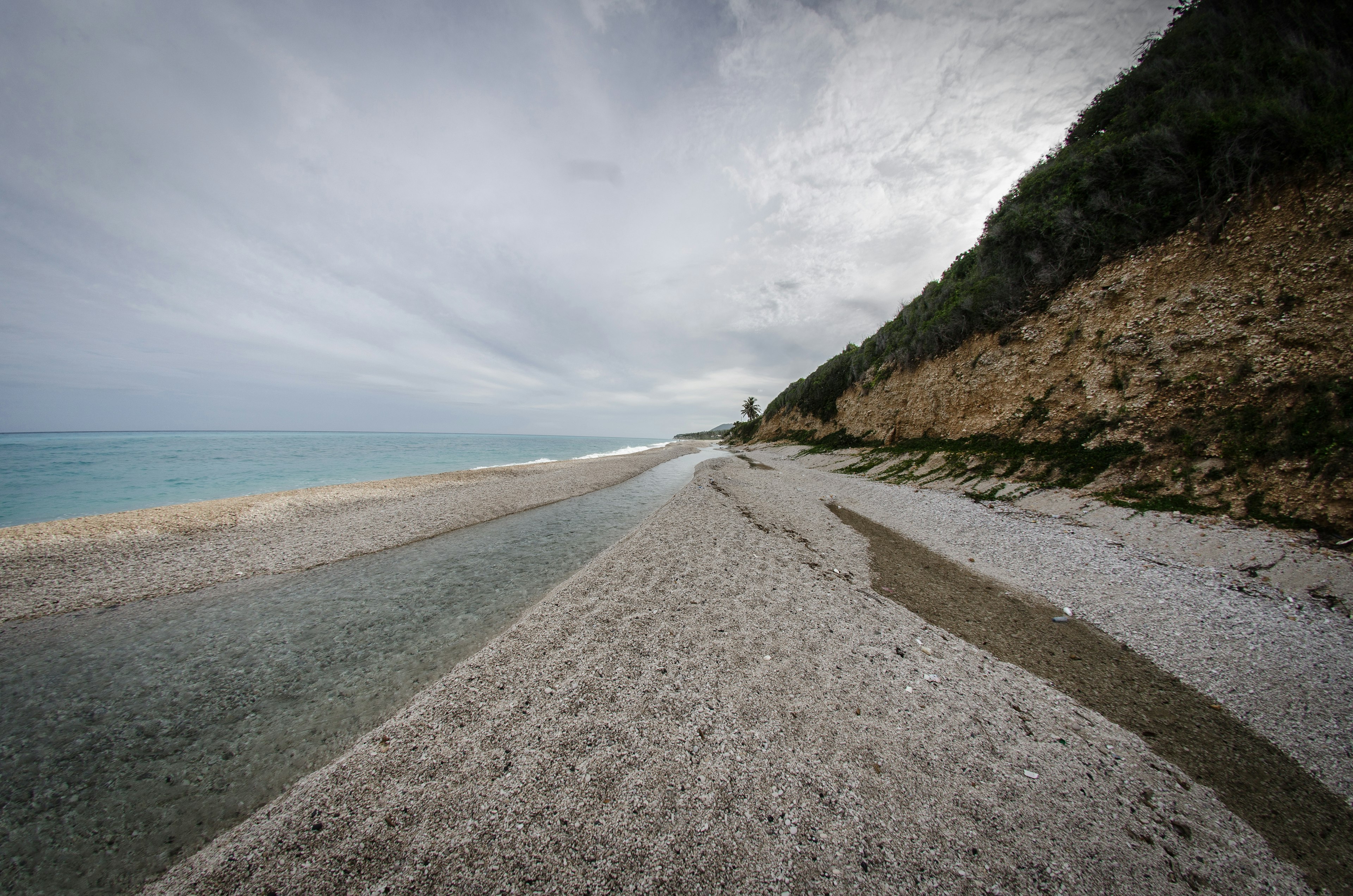 Shell filled beach on a dark cloudy day. There is a hill covered with trees to the left.