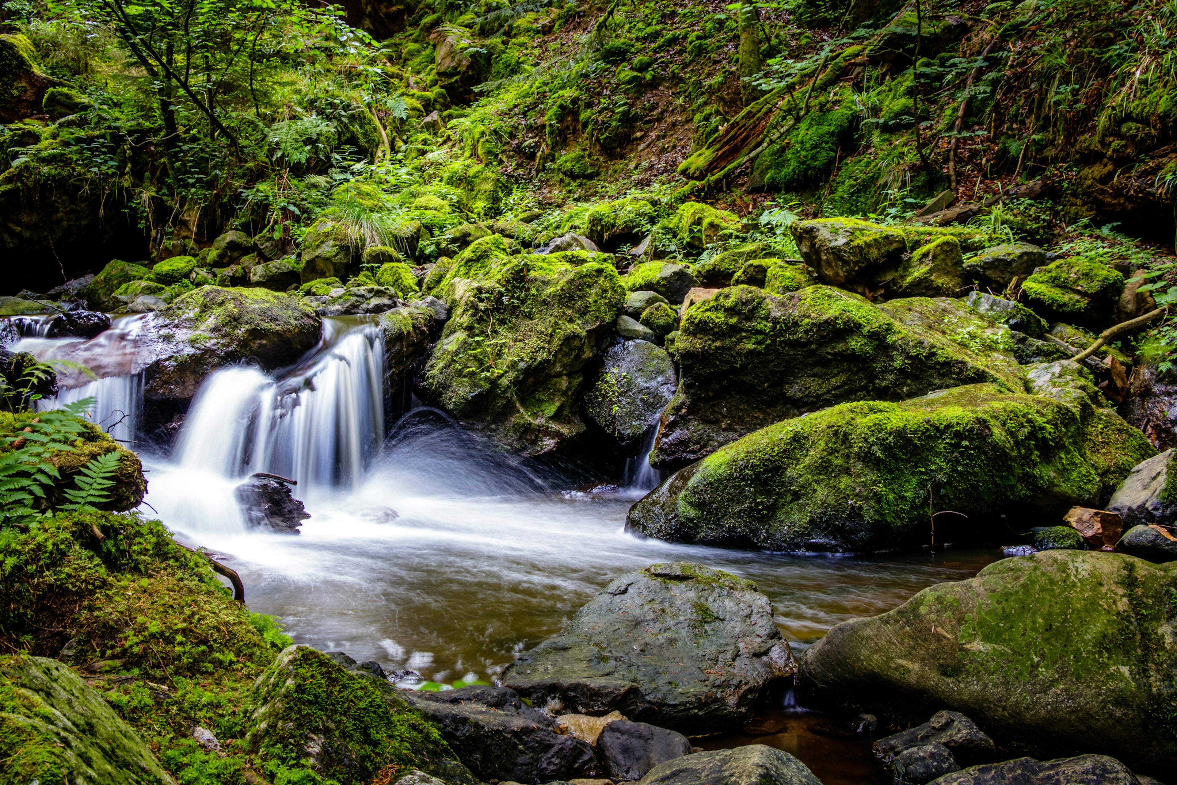 A river flows across mossy green rocks in Ravenna Gorge