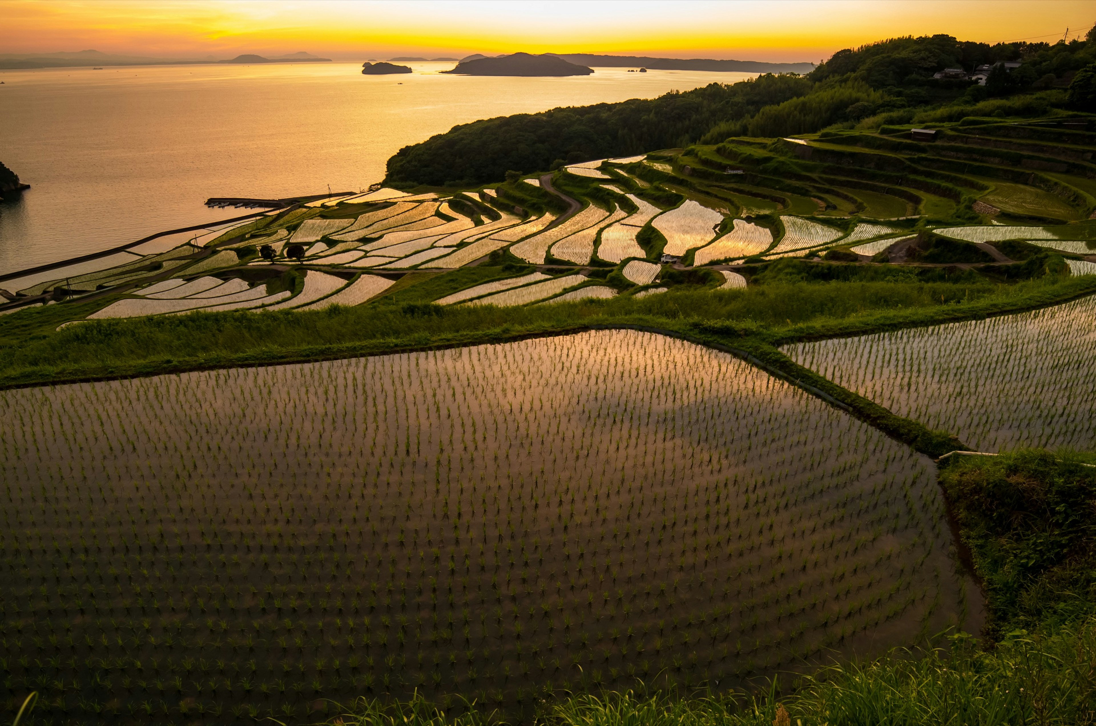 Scenic View Of Doya Rice Terrace Against Sky During Sunset