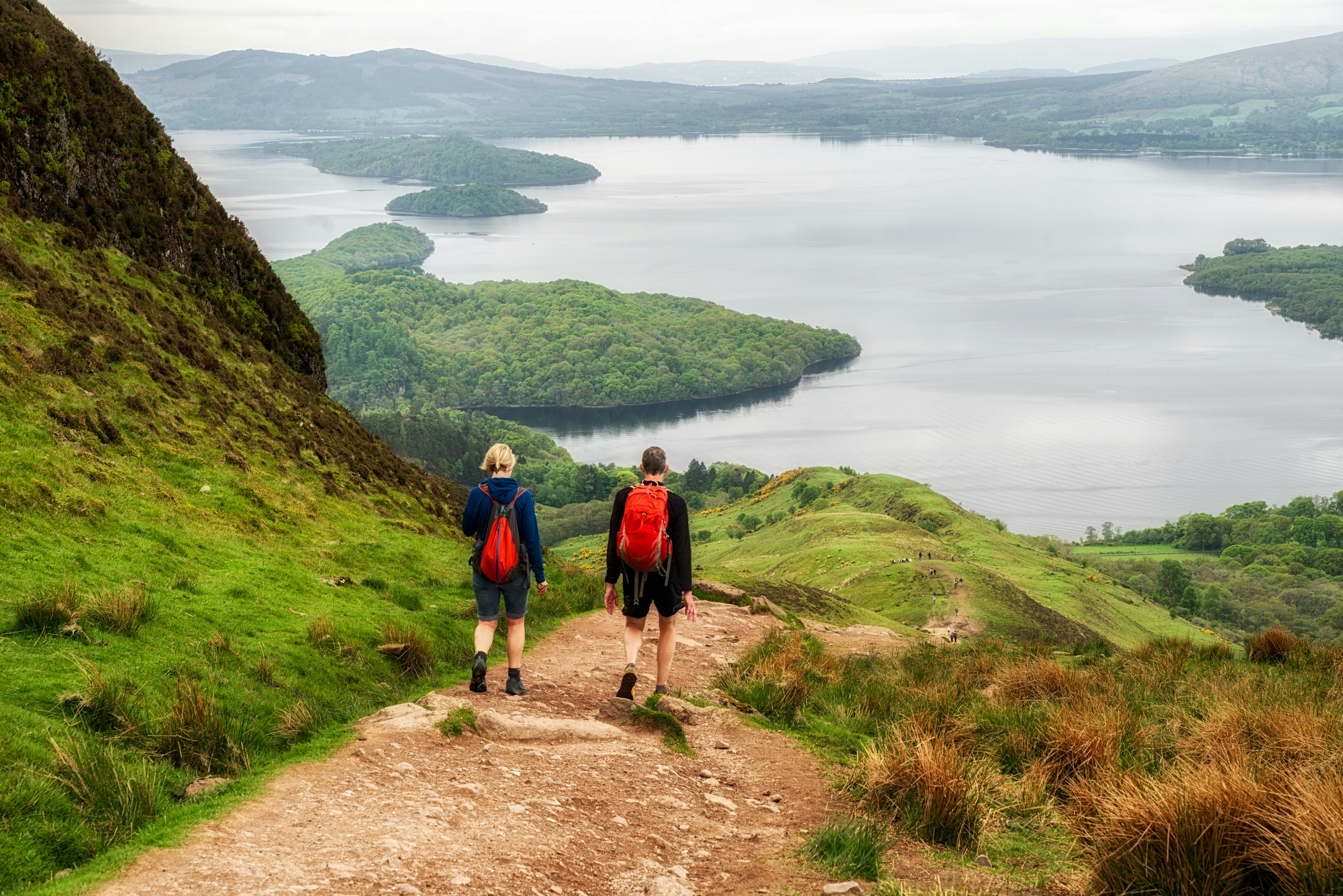 Hikers walk down a lush hill in front of a large lake.