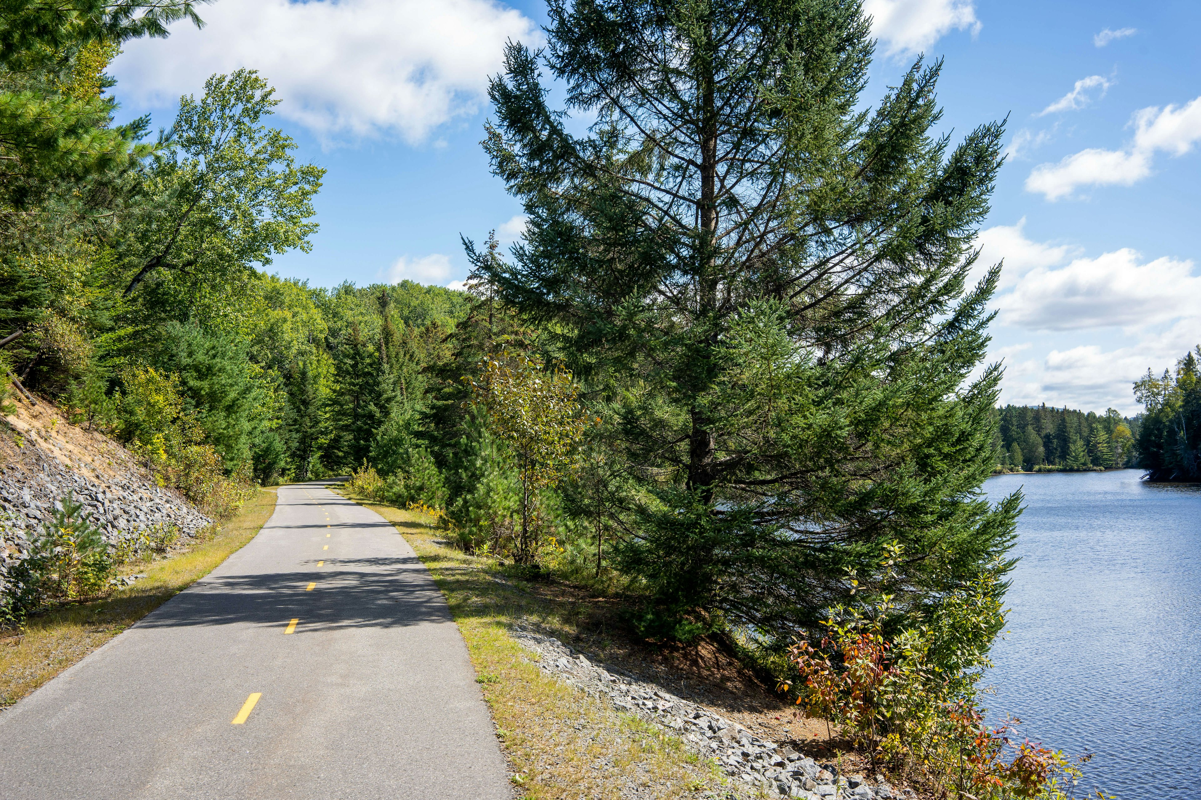 A paved portion of Route Verte in Quebec, with green trees and waterfront