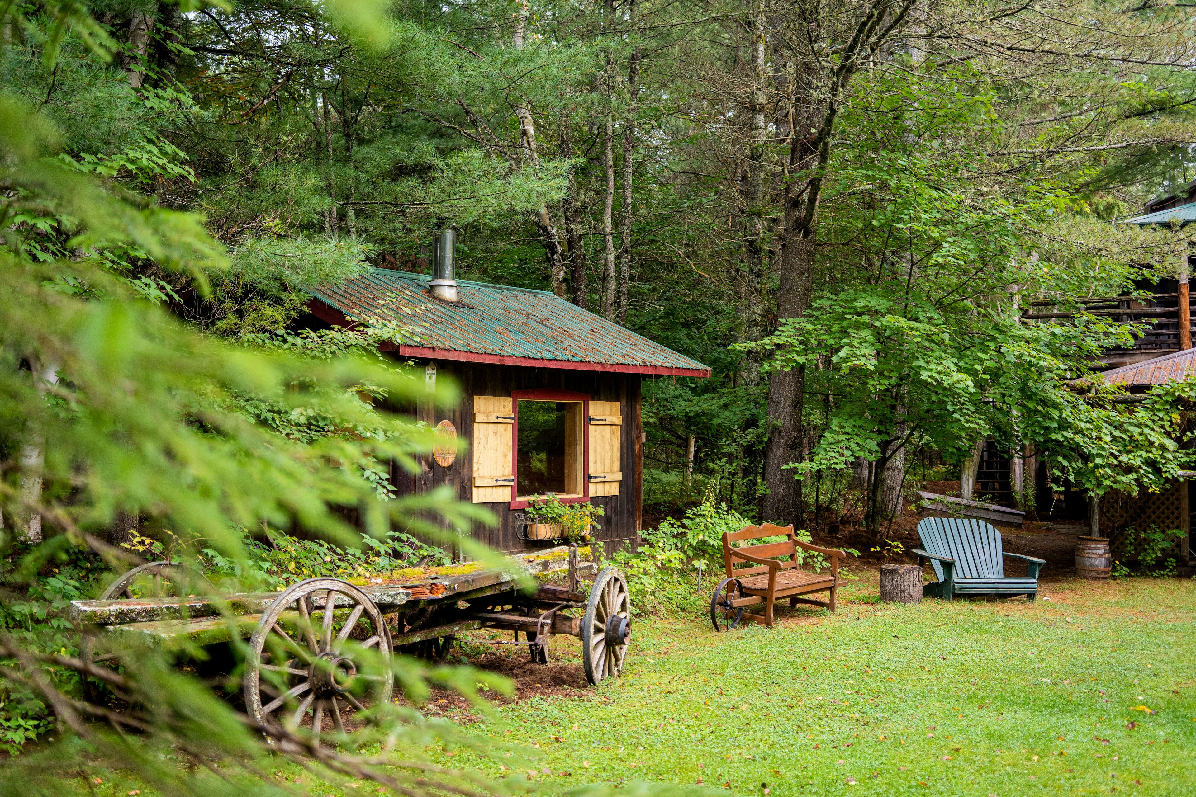 A wood cabin surrounded by trees