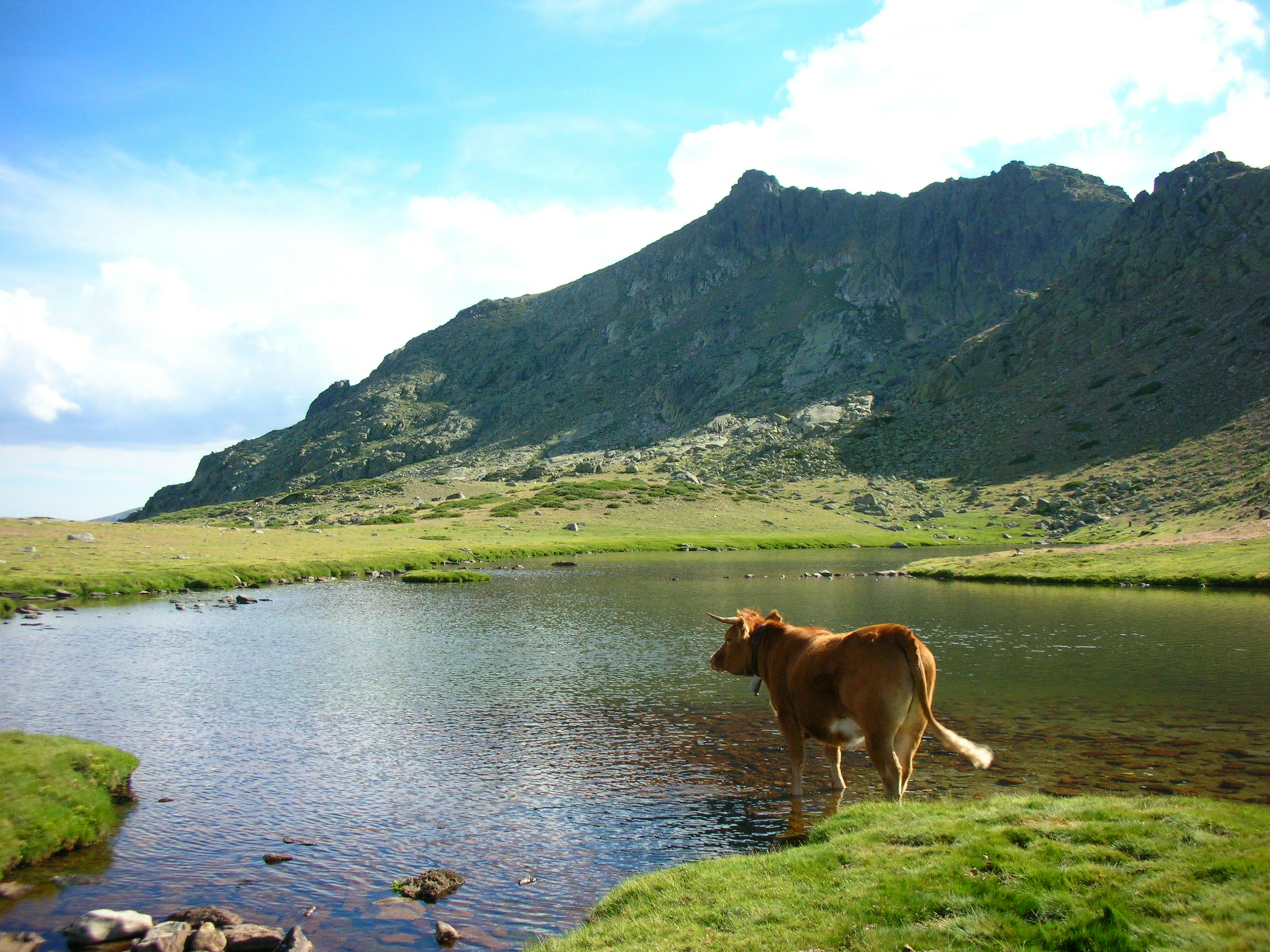 Laguna de los PÃ¡jaros