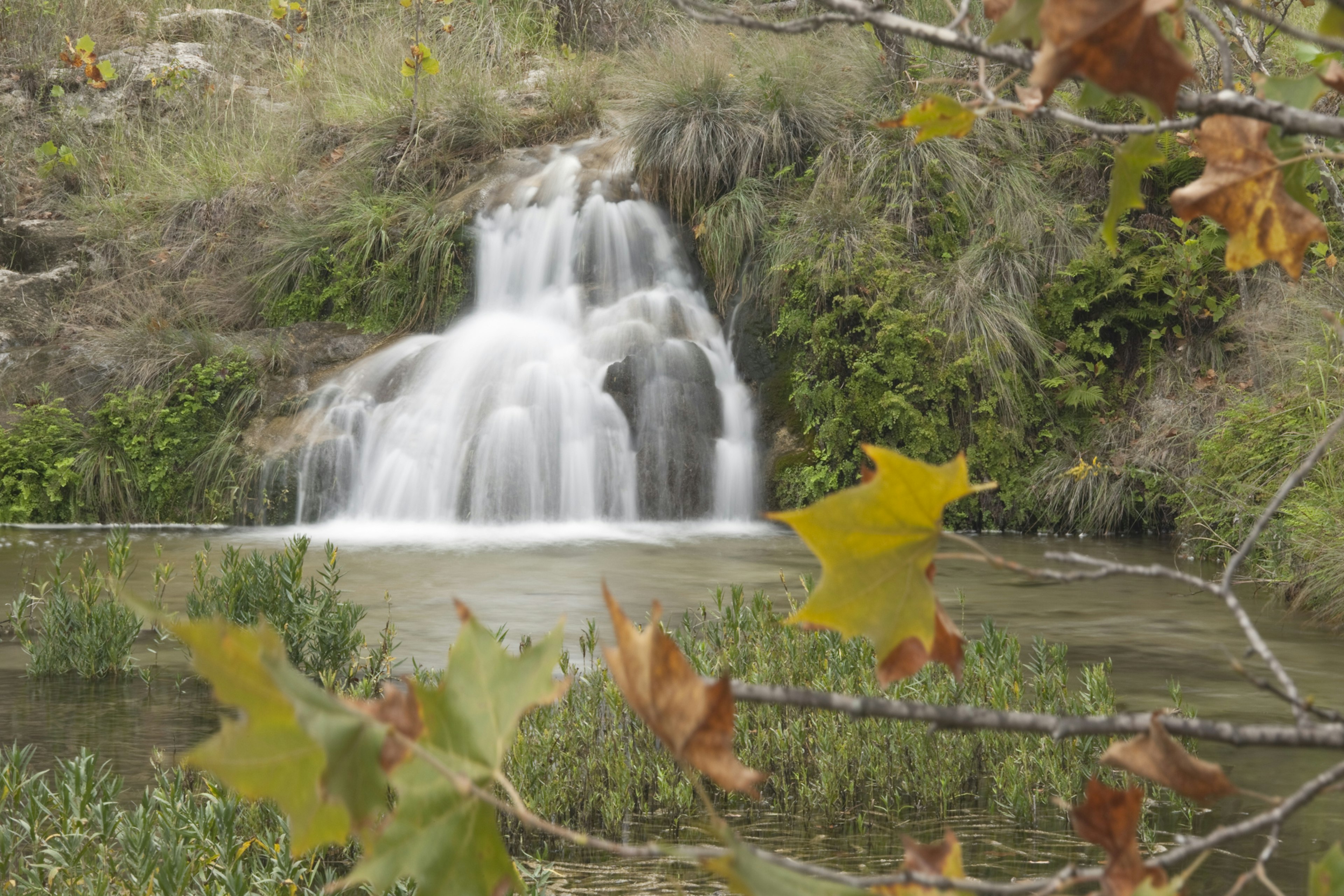 Spicewood Springs Cascade at Colorado Bend State Park, Texas.