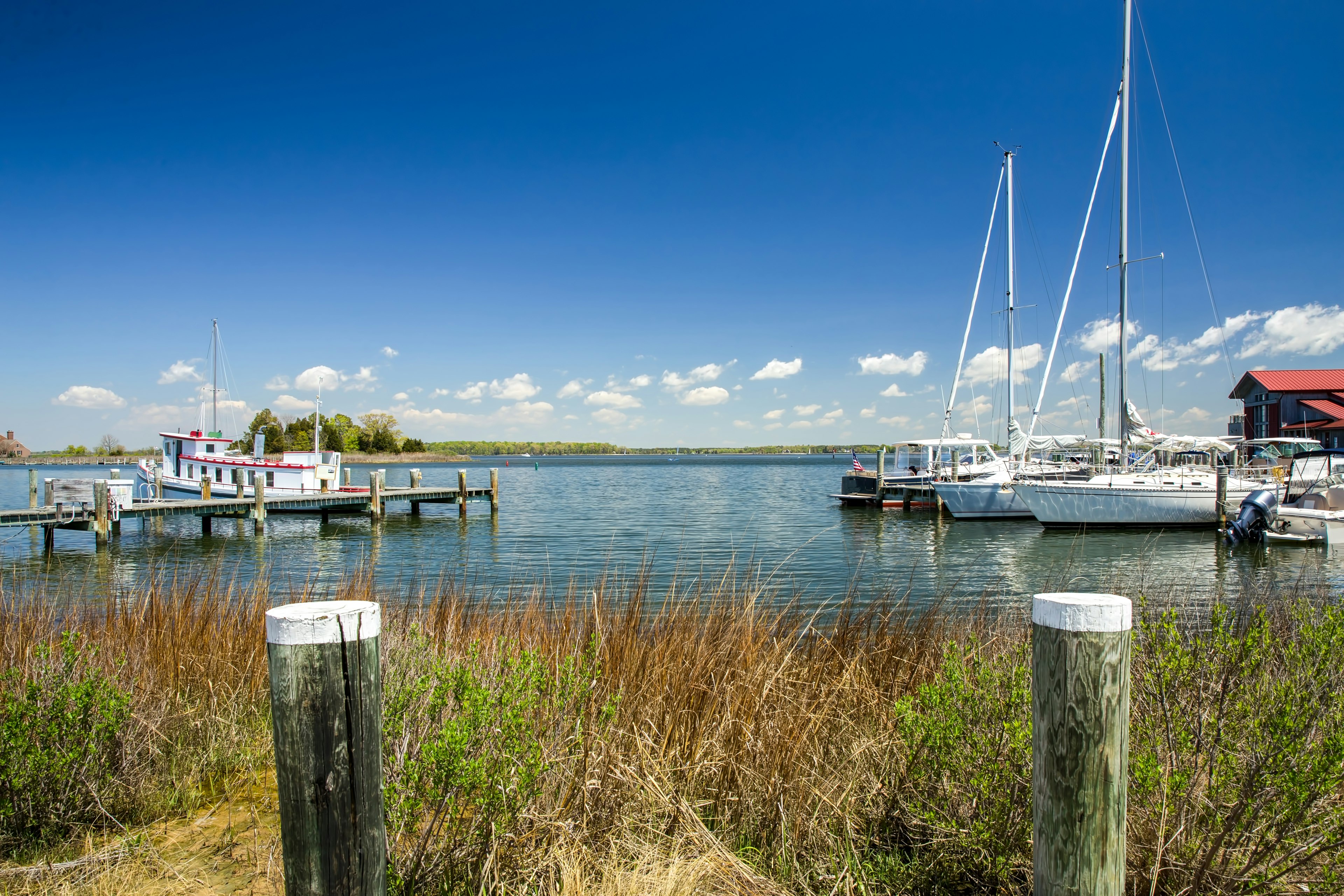 View across the harbor at St. Michael's Chesapeake Maritime Museum.