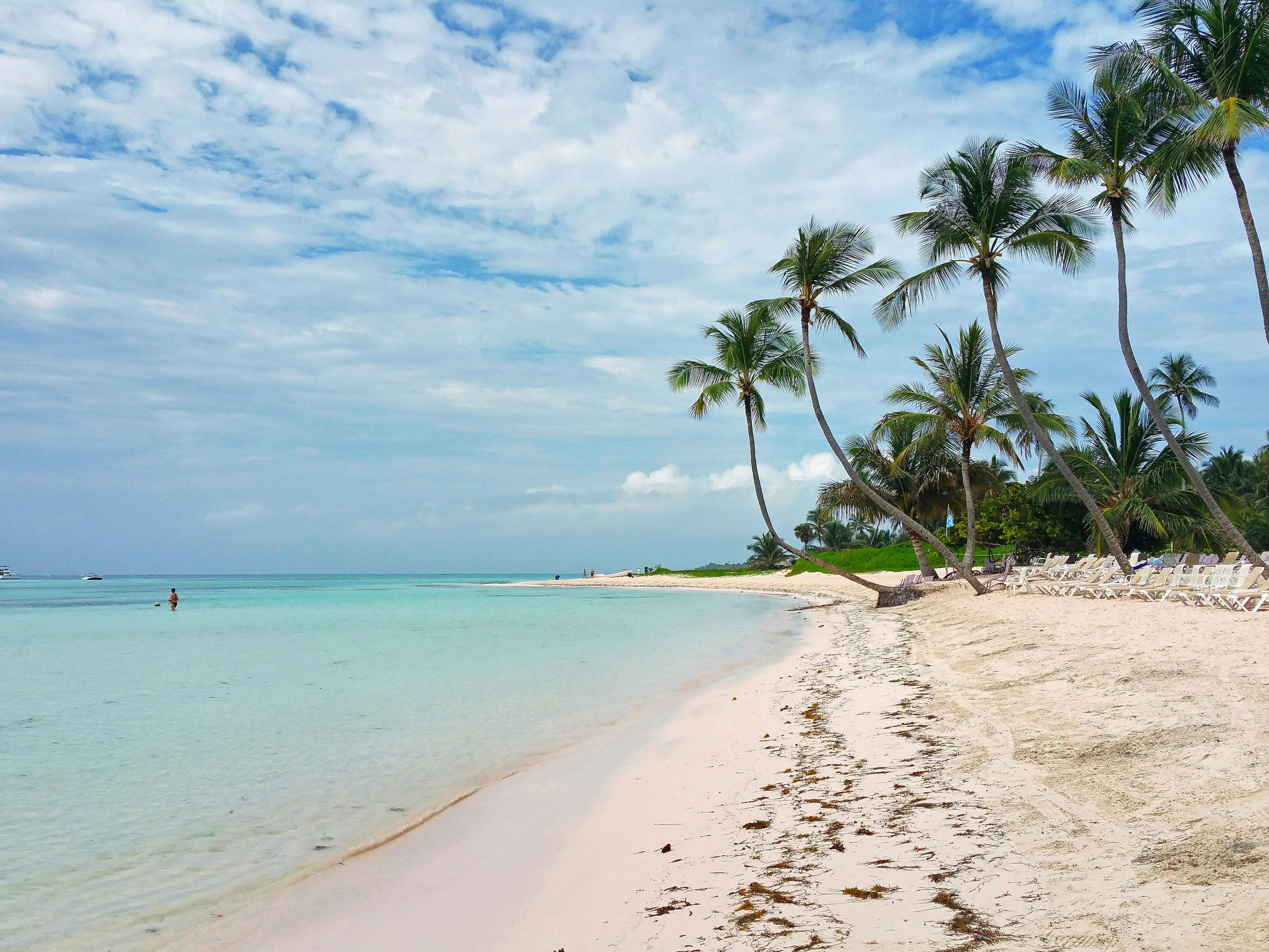 The beach at Puntacana Resort & Club.