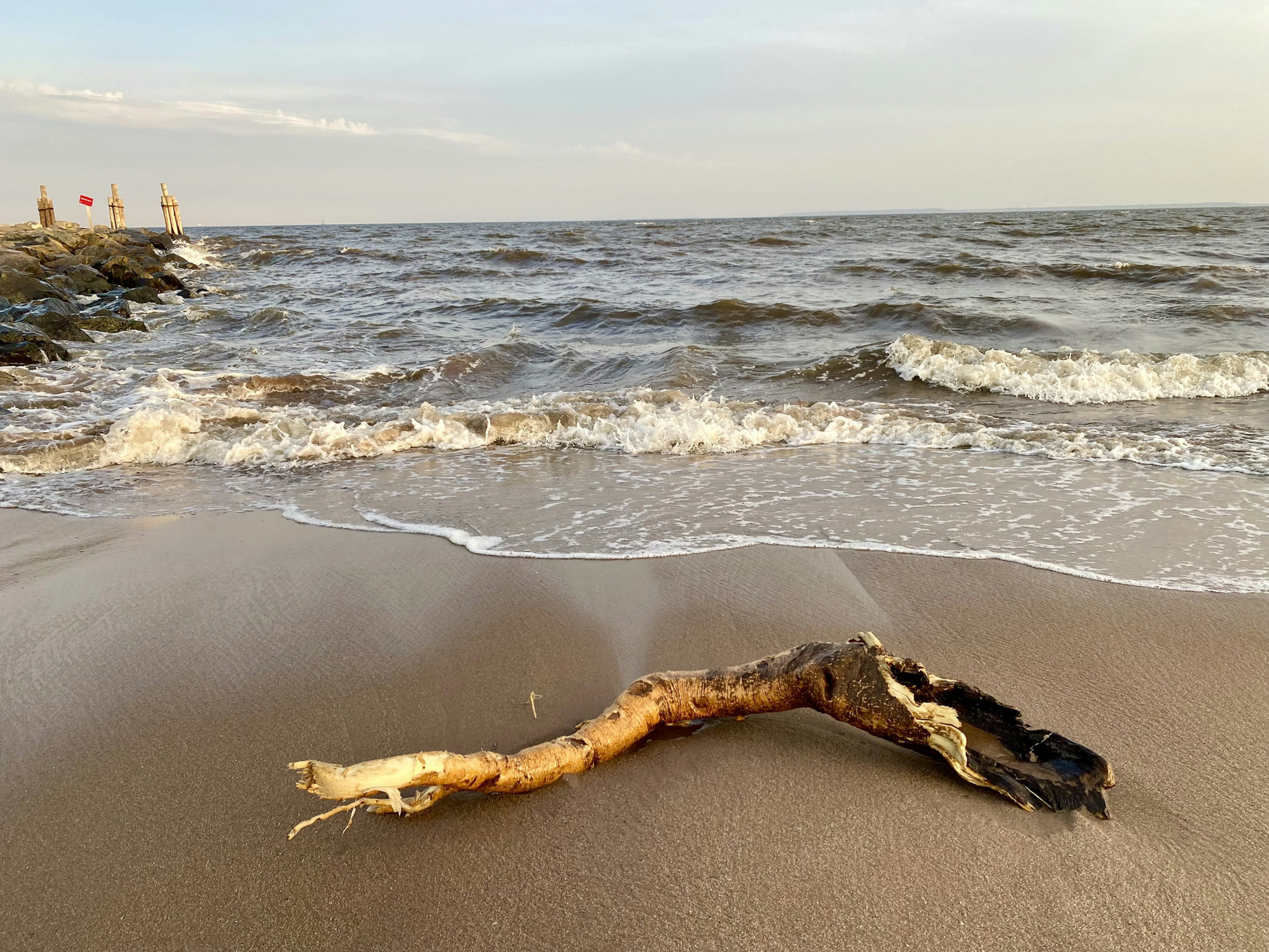 A beach shore with a washed up log and the sunset