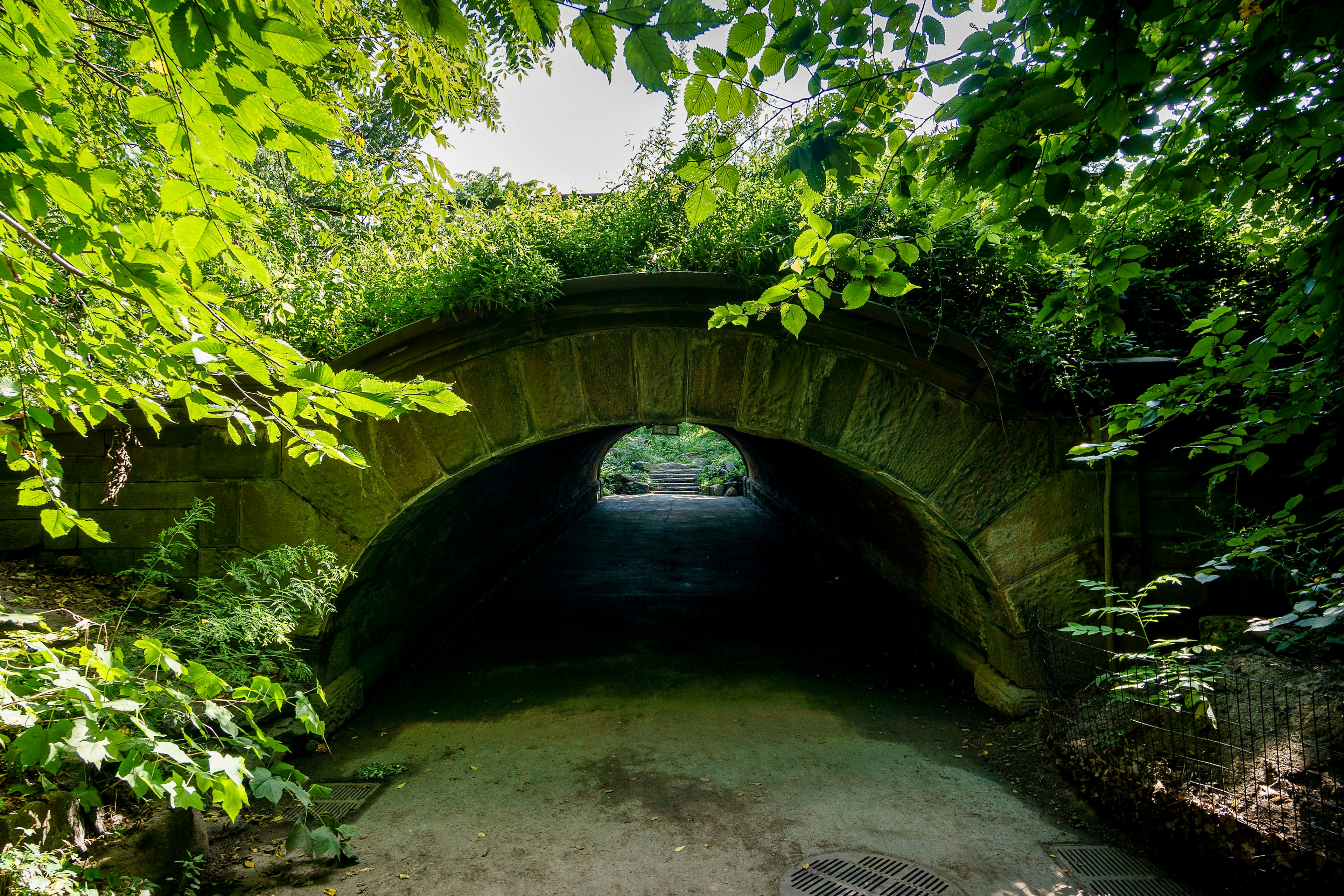 Springbanks Arch, Central Park.