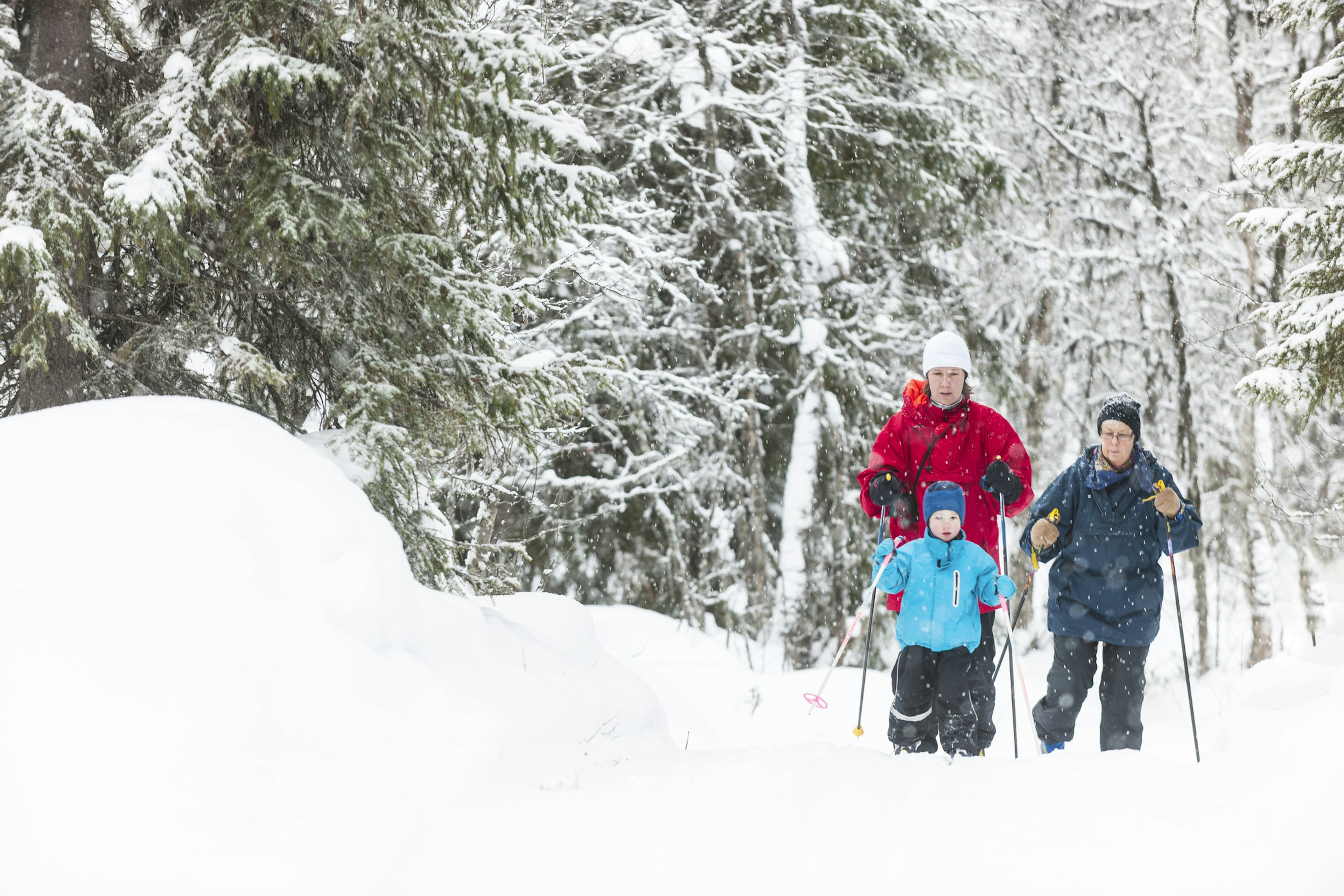 Multi-generational family of two adult women and a male child cross-country ski through snowy woodland