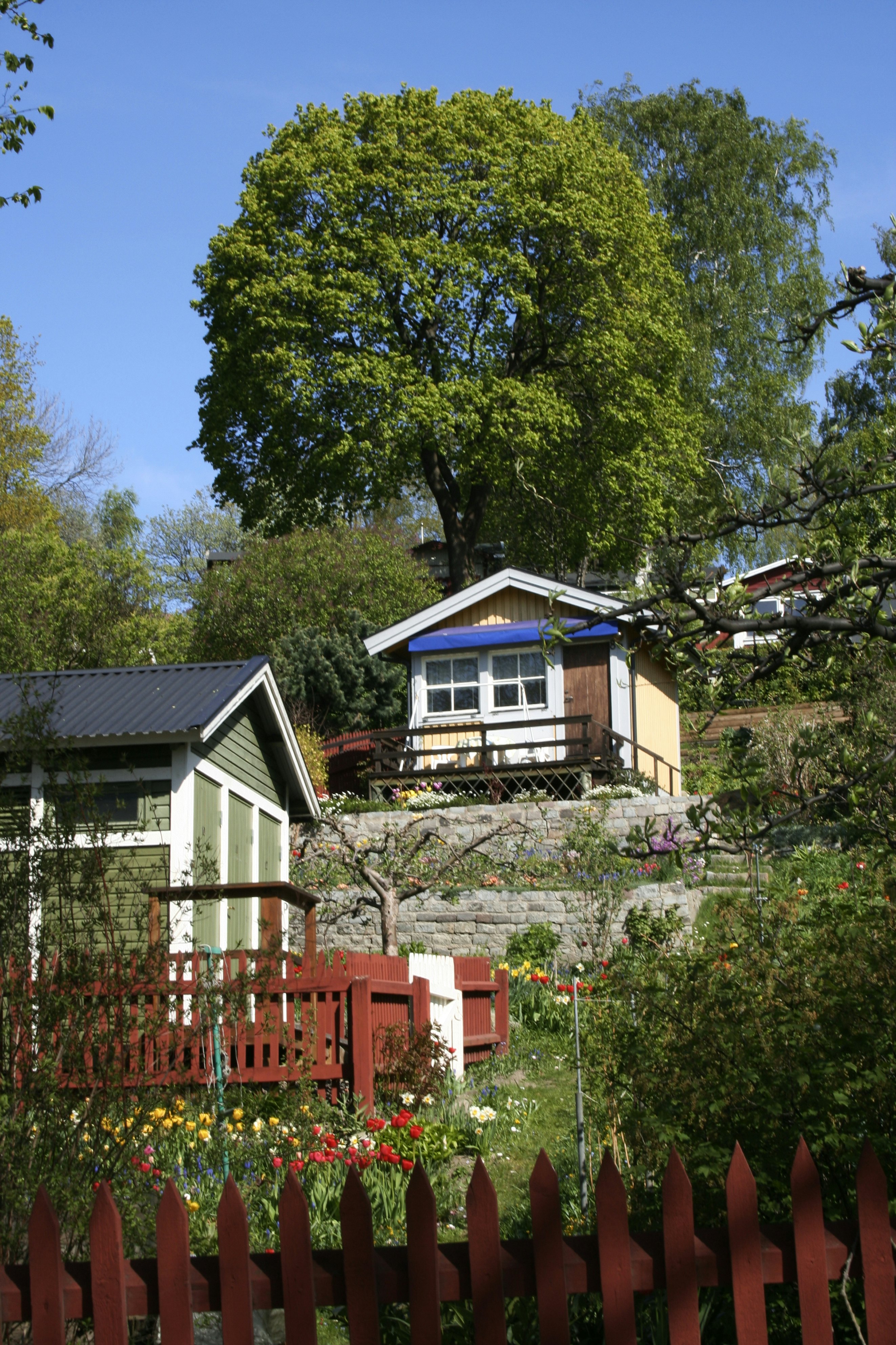 The Allotments in Tantolunden park.