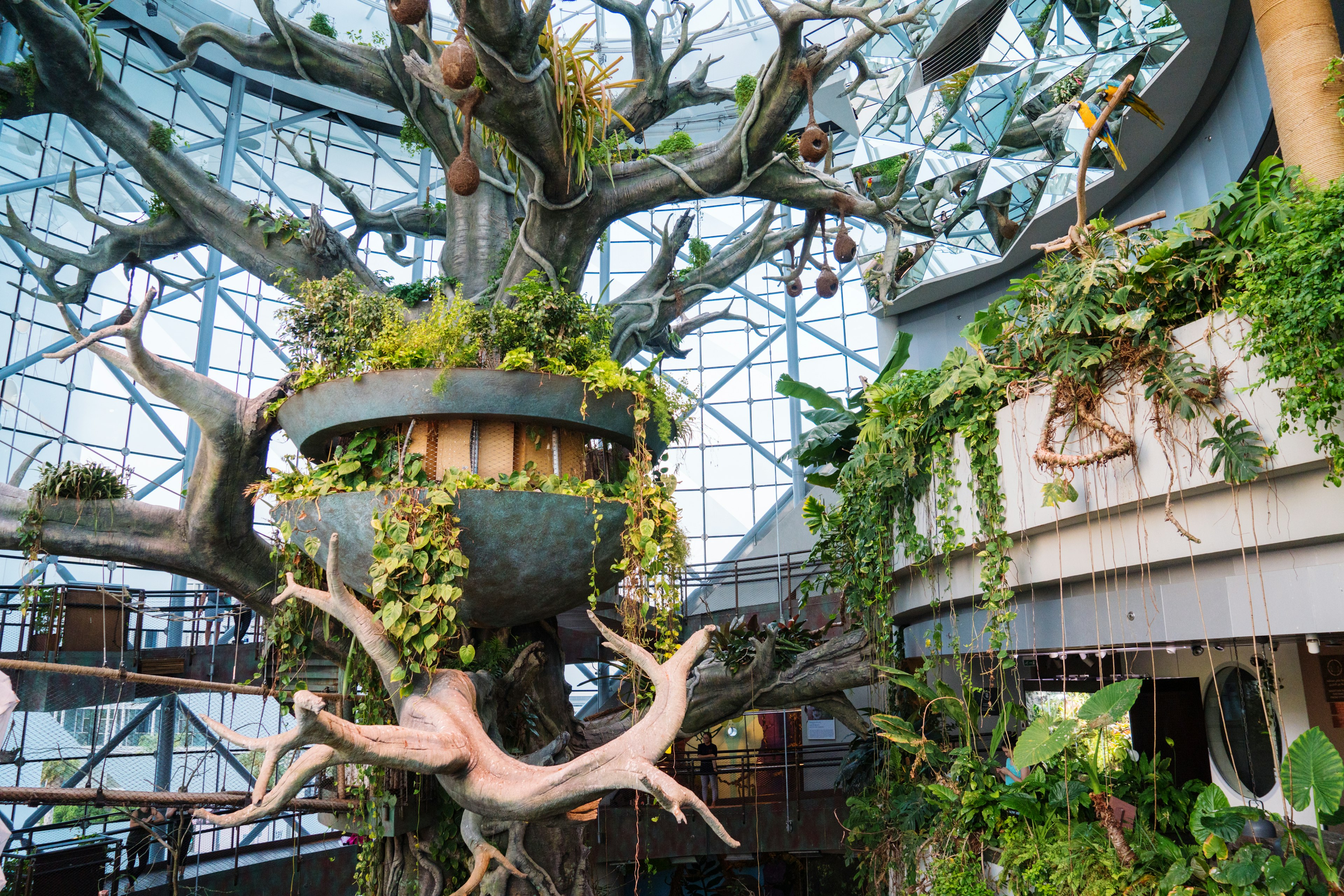 The man-made tree inside a glass dome with a rainforest biome at Green Planet, Dubai, UAE, Middle East