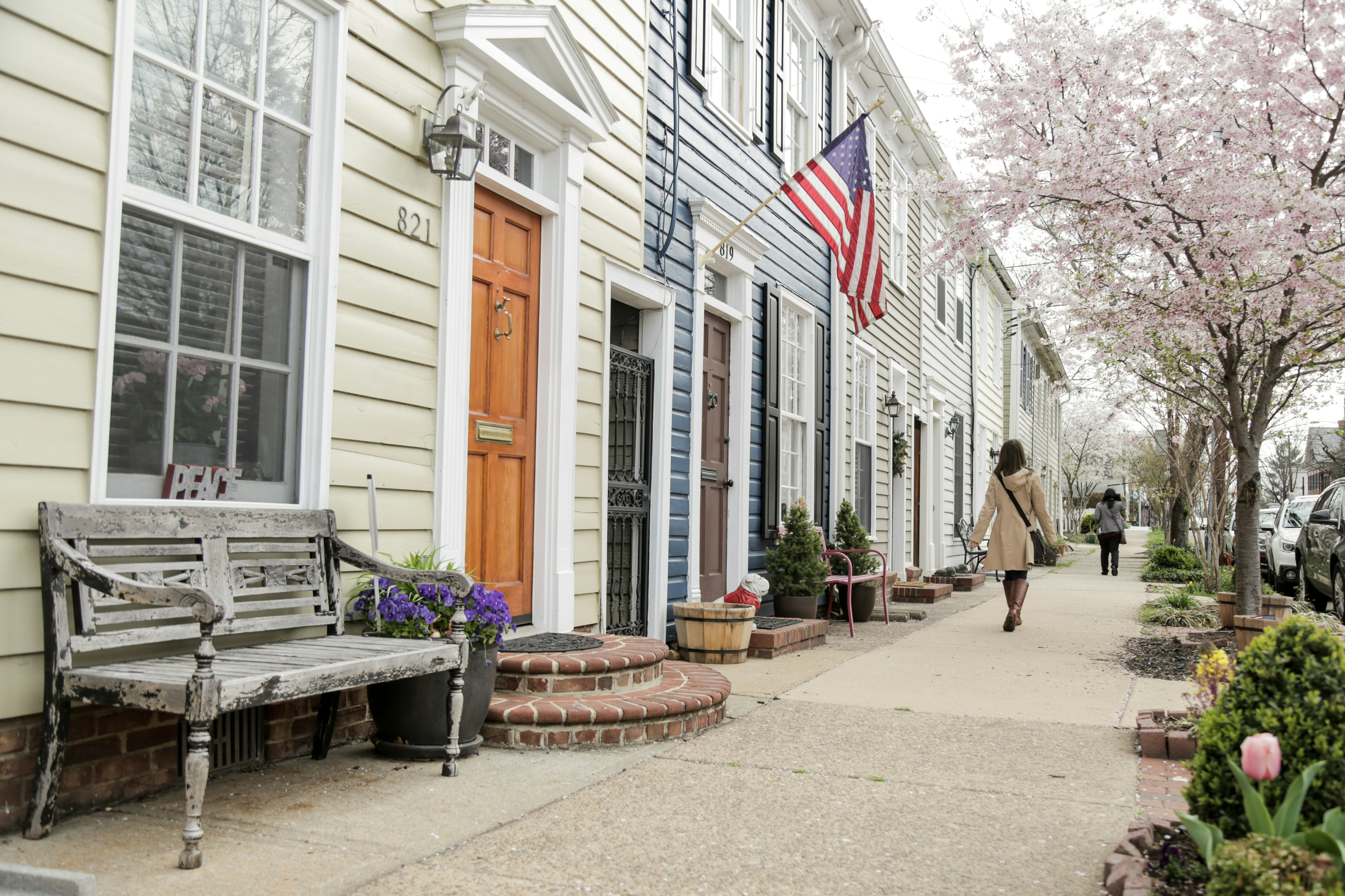 A woman walking down the street in Old Town Alexandria, with spring trees in bloom