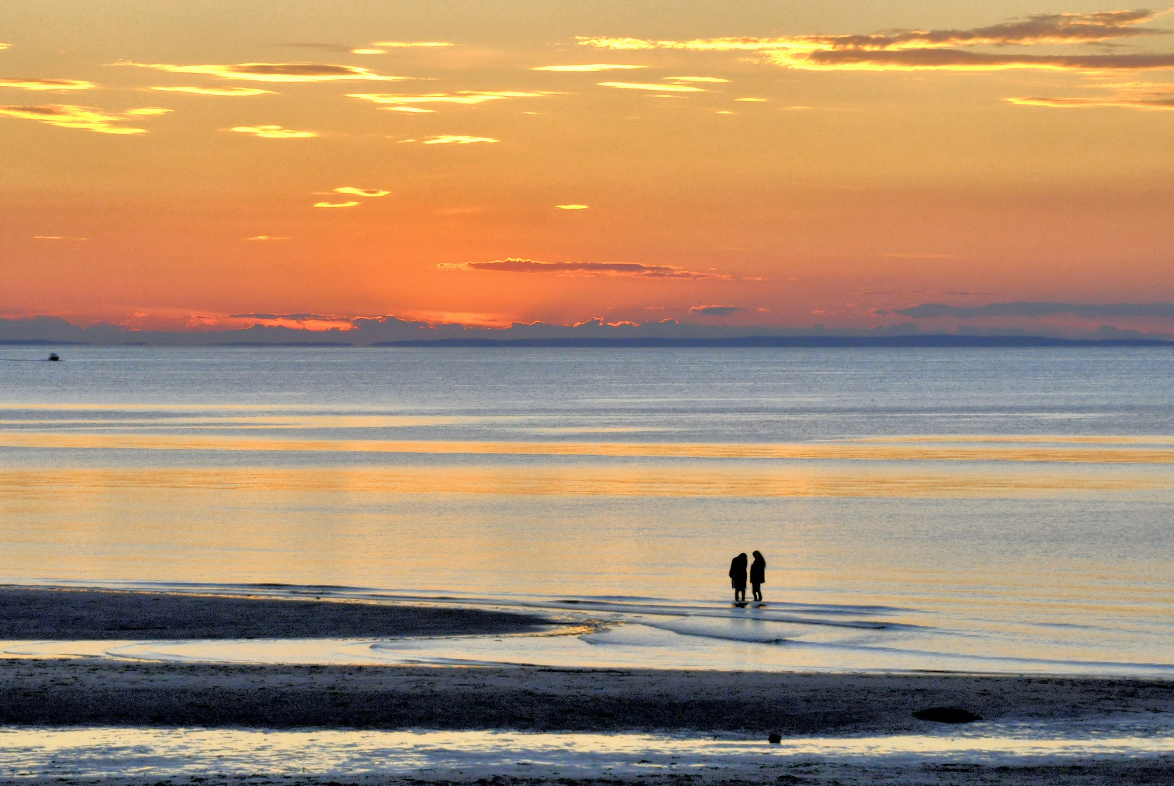 Two women are silhouetted by the setting sun as they paddle in the water of Cape Cod Bay at low tide