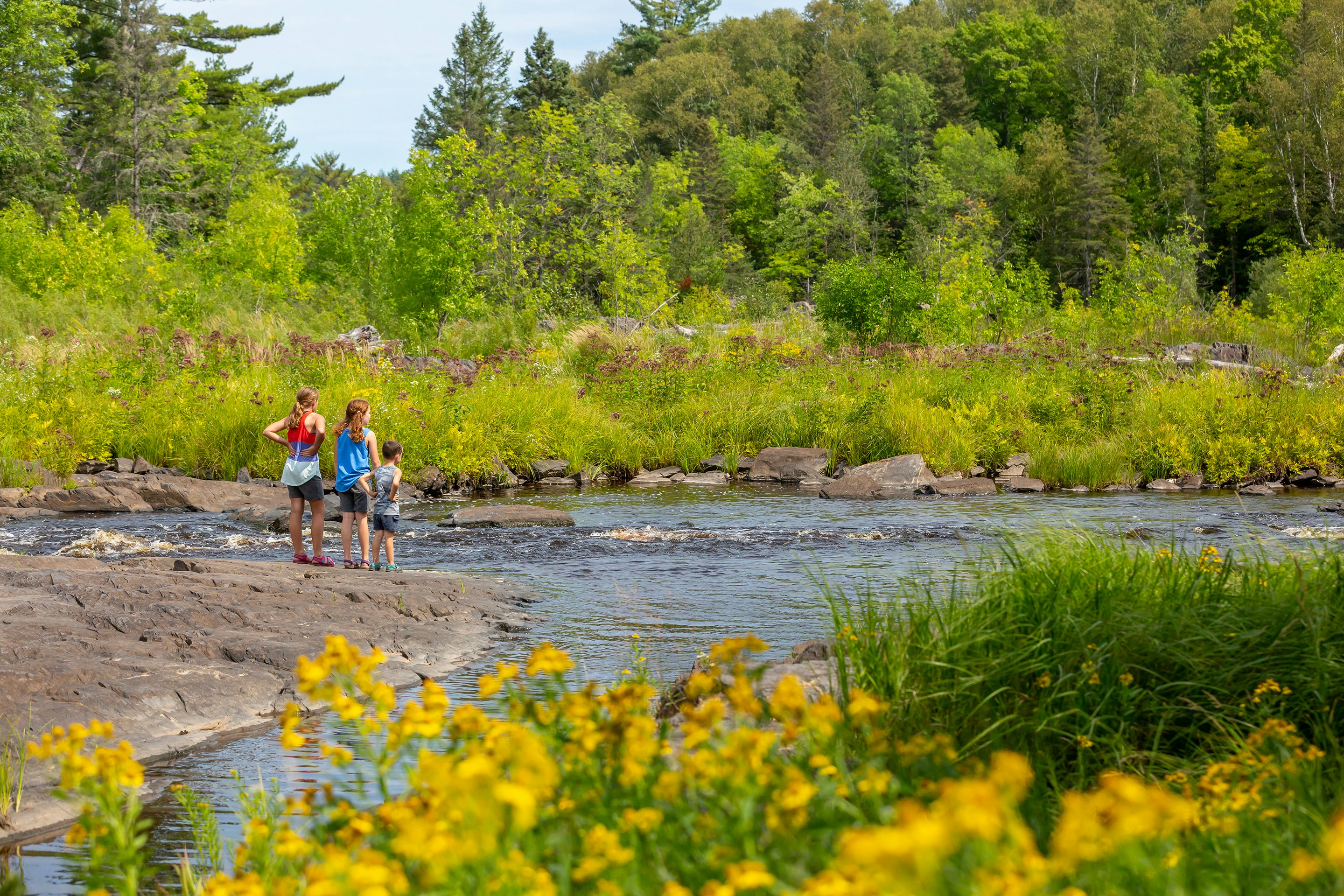 Three children stand on the edge of a stream in a wooded area