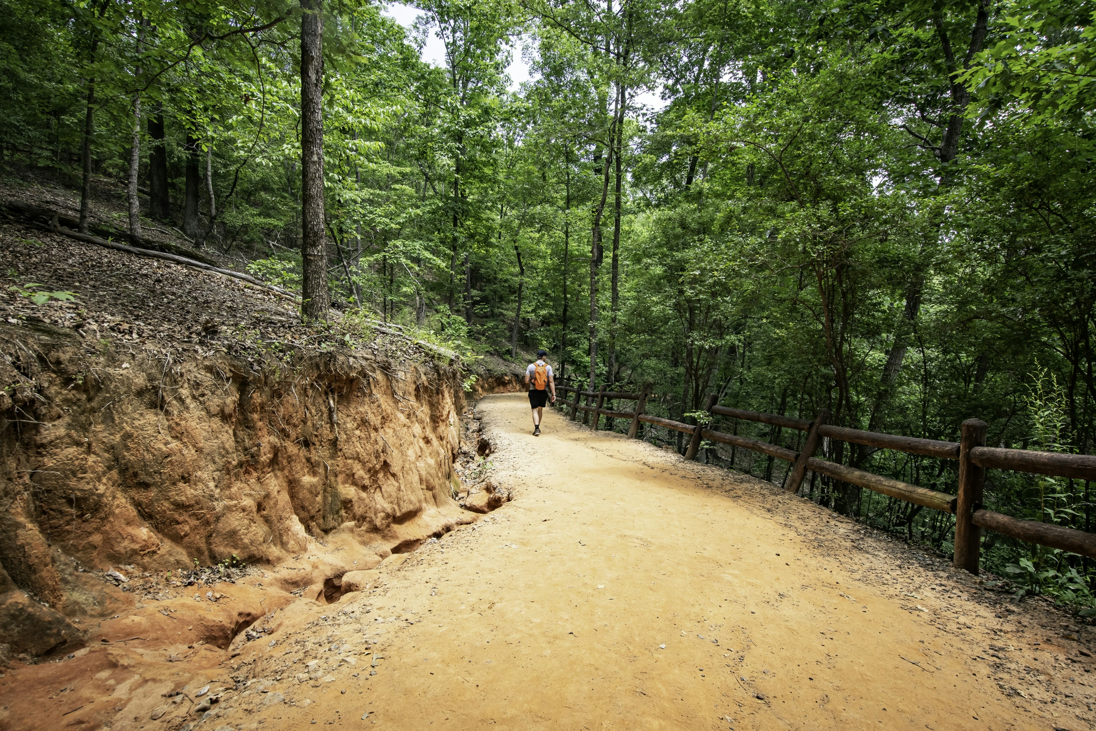 A hiker walks down the red-soiled path into Providence Canyon