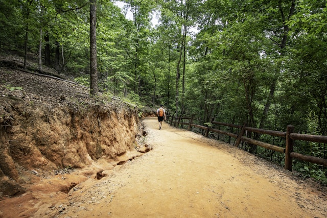 A hiker walks down the red-soiled path into Providence Canyon