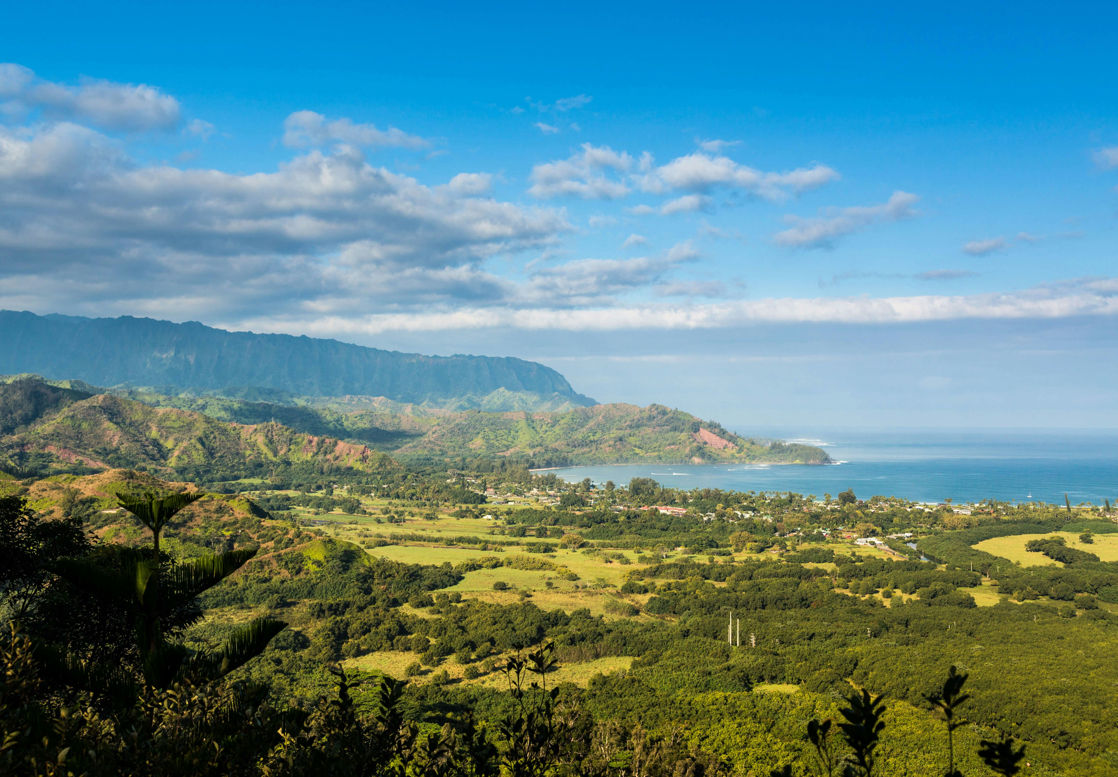 View over Hanalei bay and Na Pali range from Okolehao Trail near Hanalei, Kauai, Hawaii