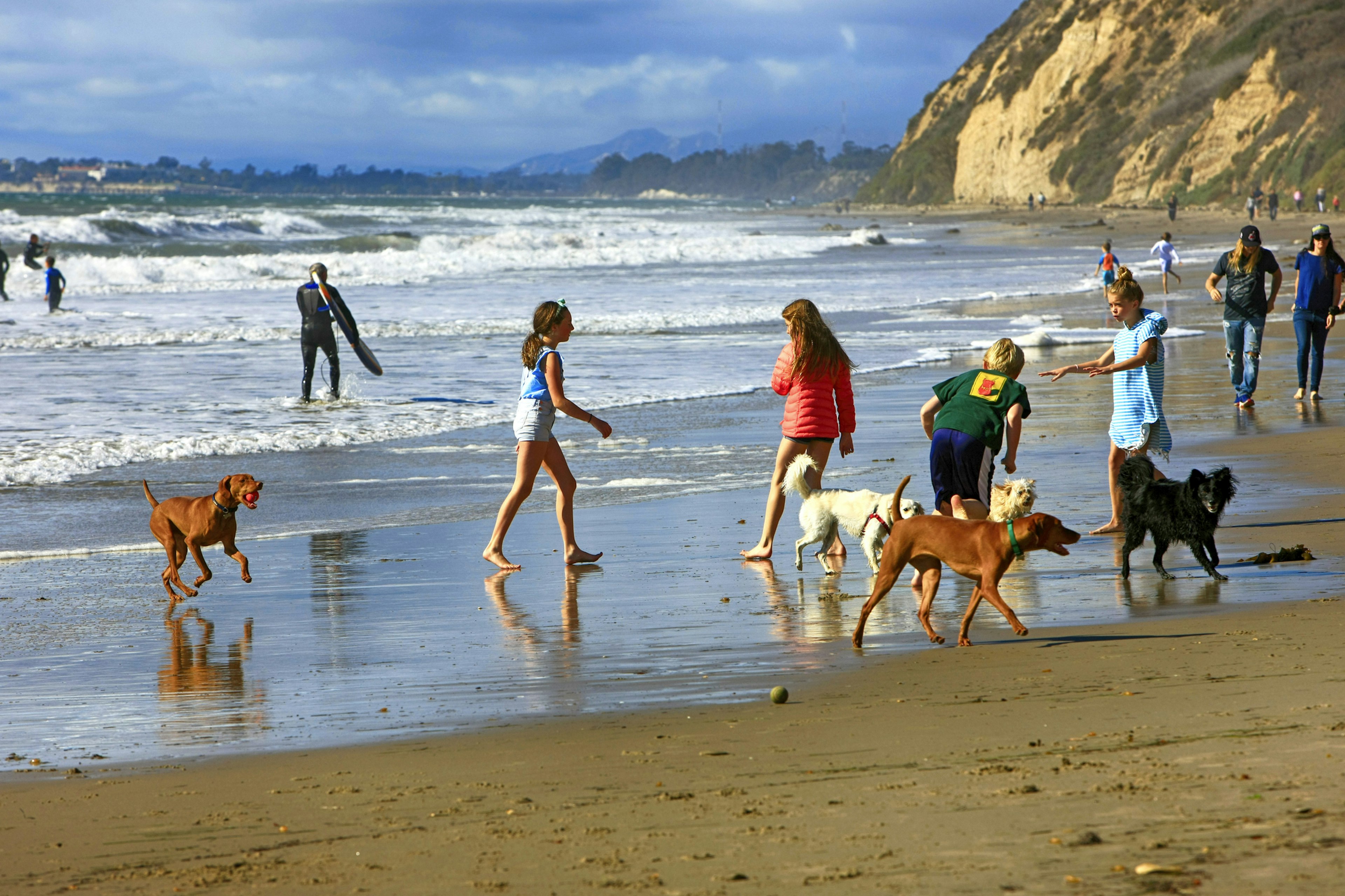 Children and their dogs enjoy the surf at Hendry's Beach, Santa Barbara, CA