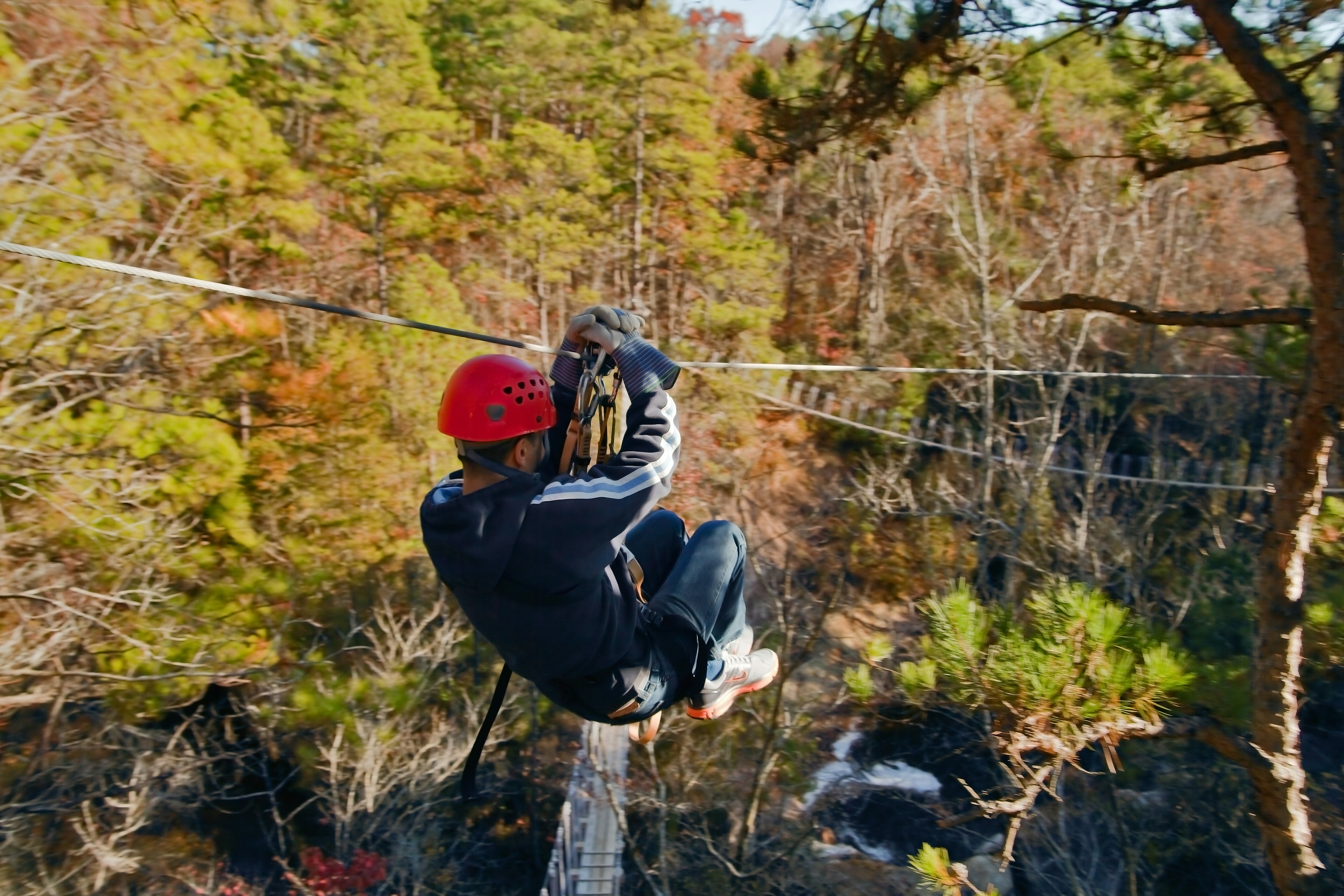 Ziplining over Carver's Falls