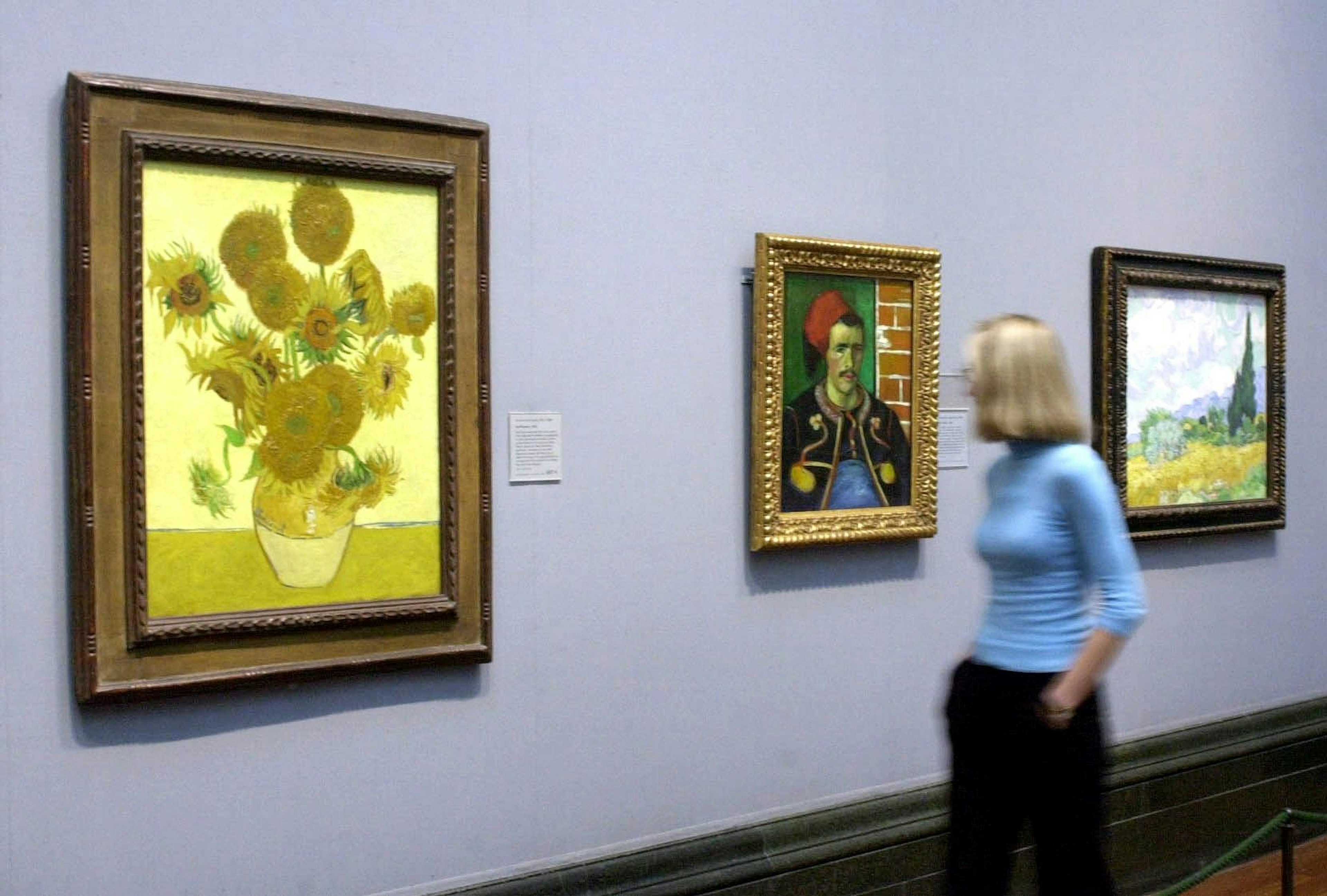 A passer by views a painting of sunflowers by Van Gogh, on display at London's National Gallery.