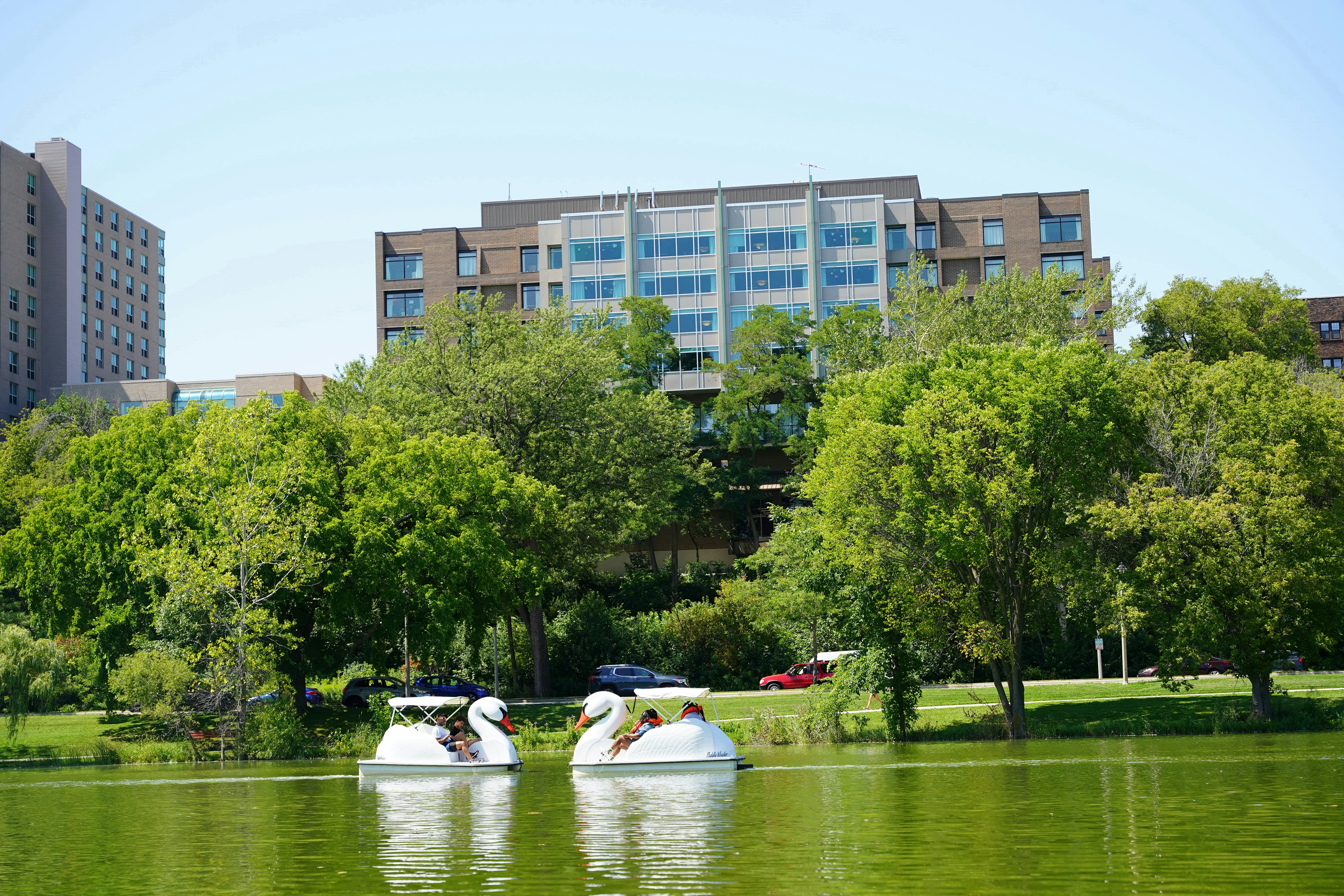 People using swan pedal boats at Veterans Park