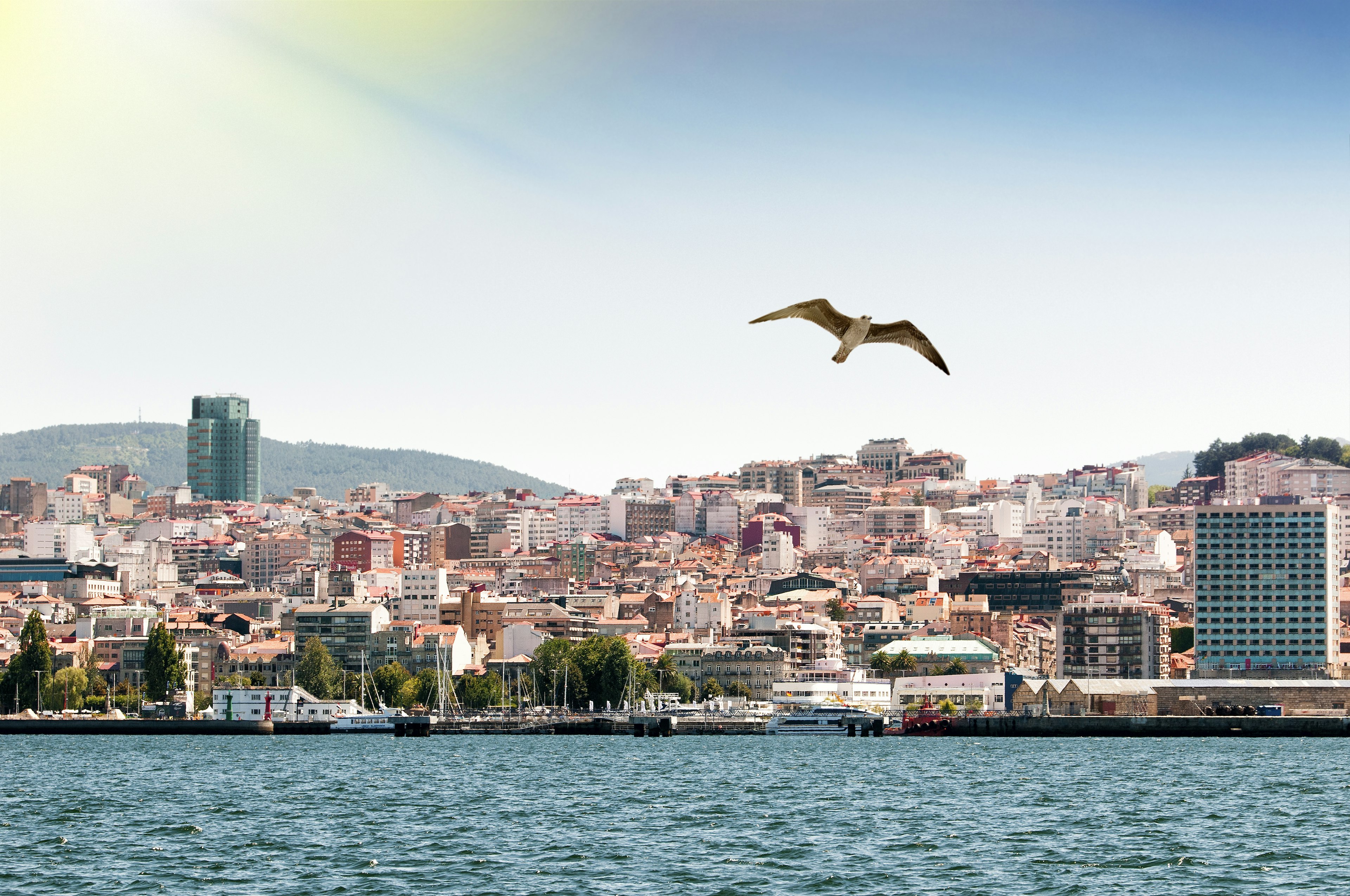 Coastline of the Spanish city of Vigo seen from the sea