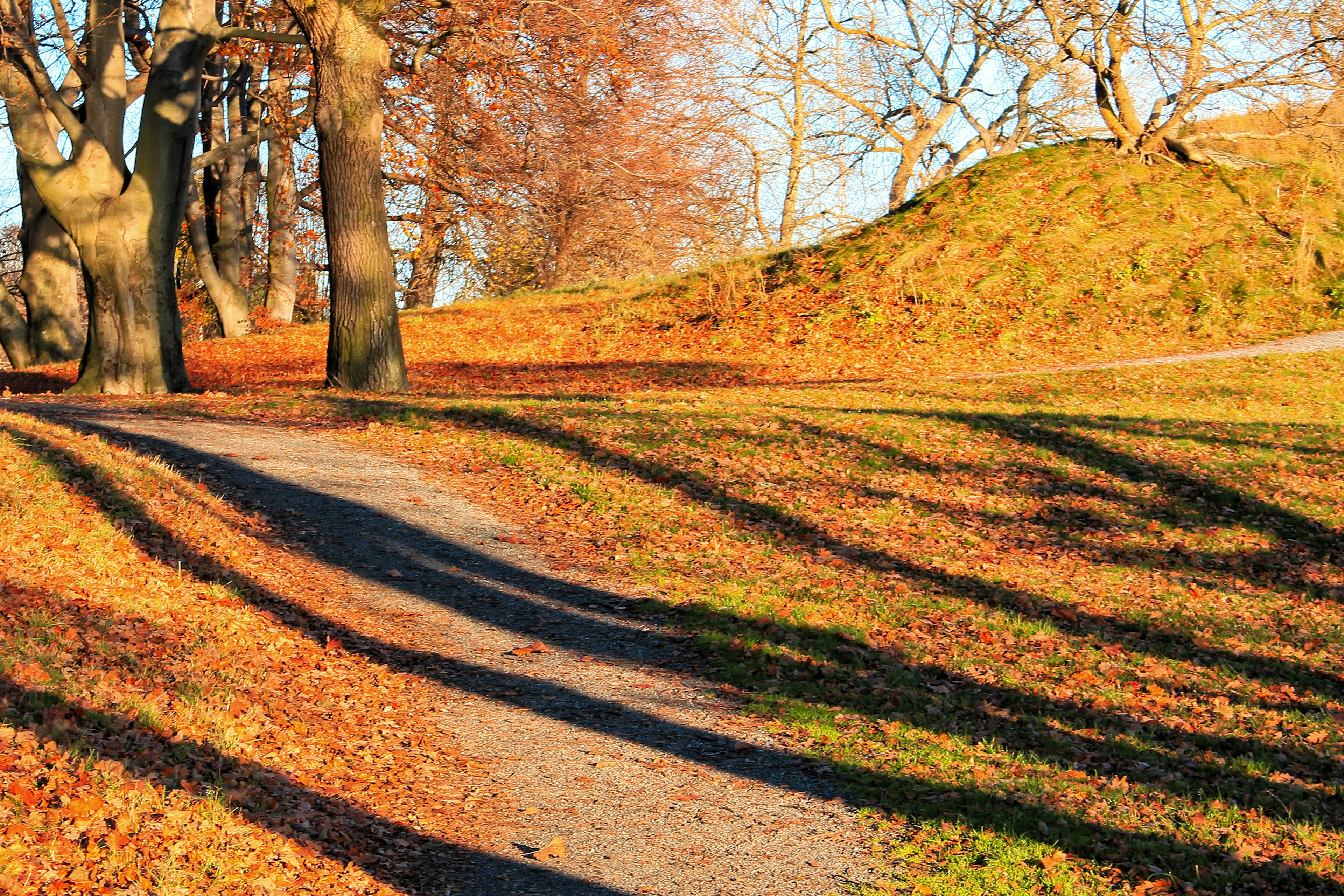 Fall in Waldemarsudde , Stockholm