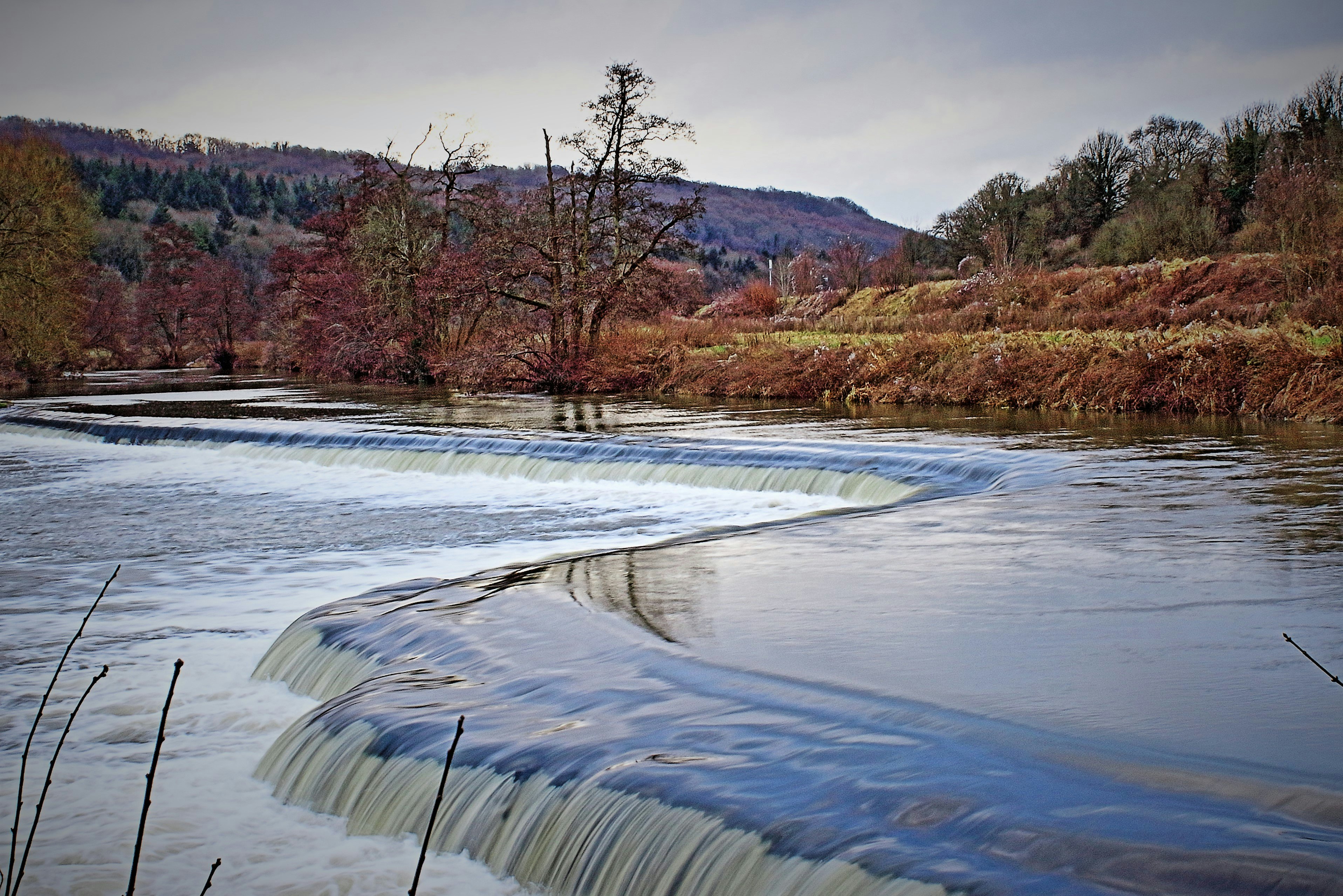 A popular, and virtually free, local spot for wild swimming - Warleigh Weir