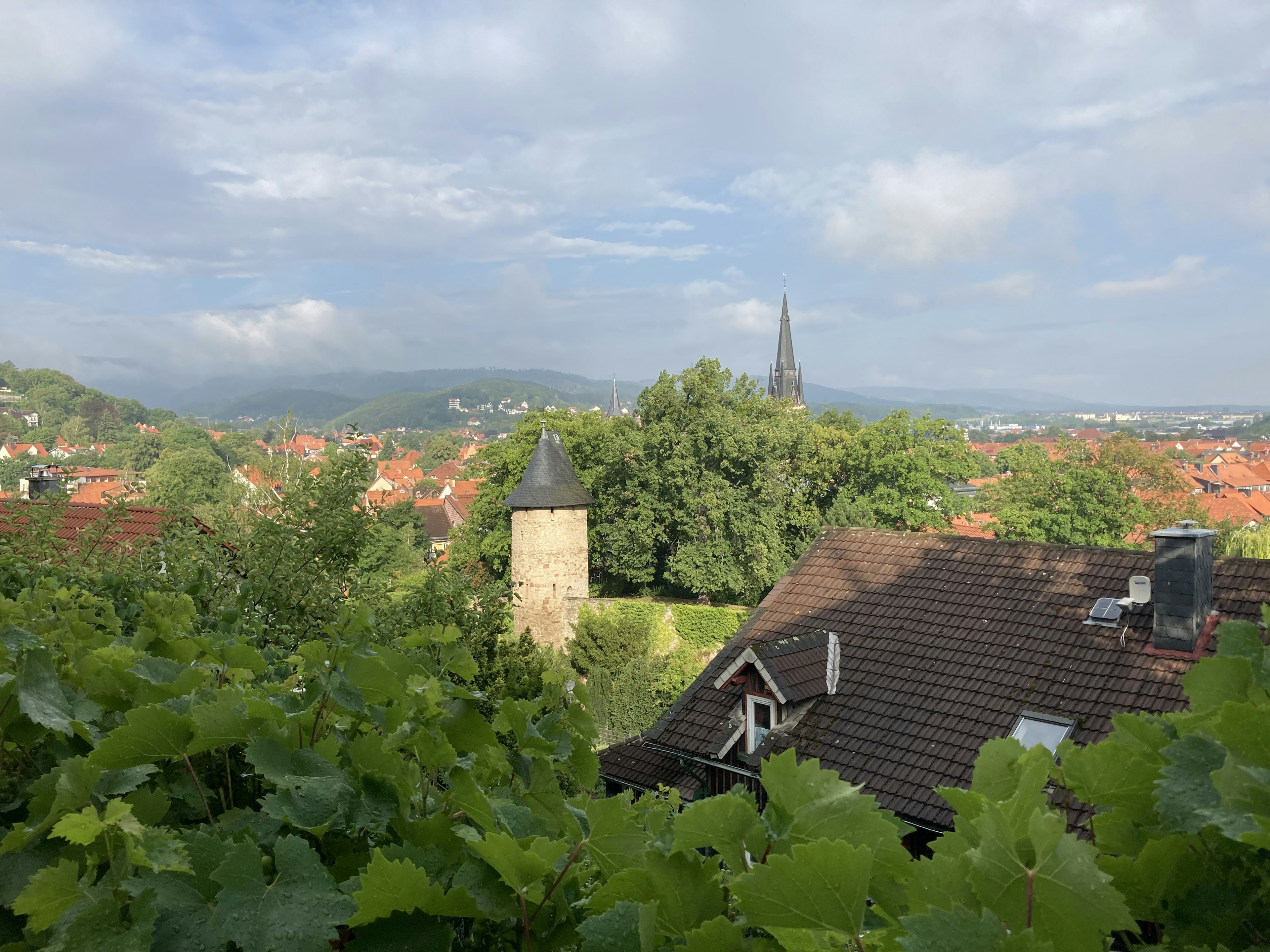 Leafy trees with red-roofed buildings in rural Germany.