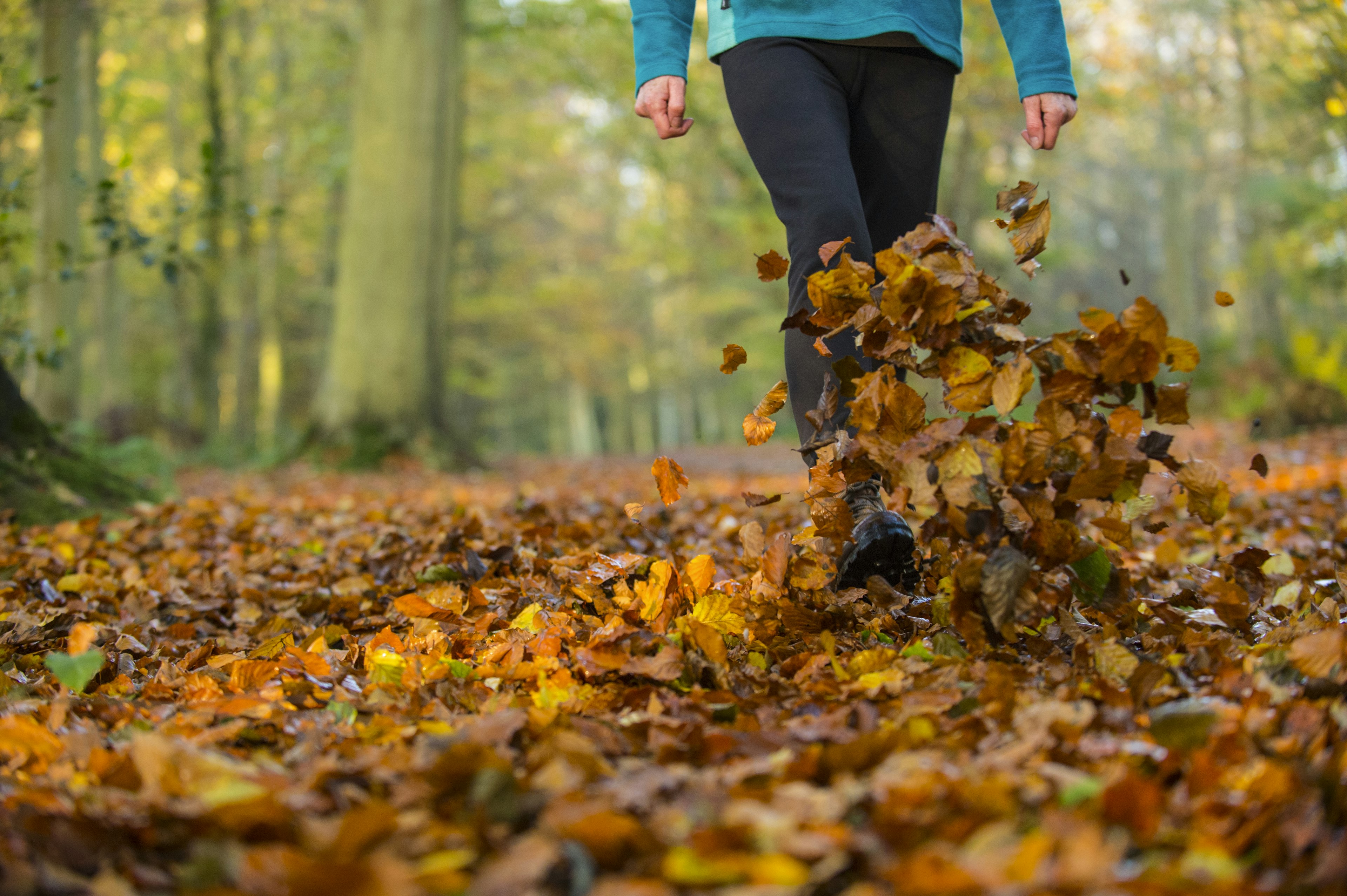 A woman walking and kicking up fallen leaves on a hike in the autumn