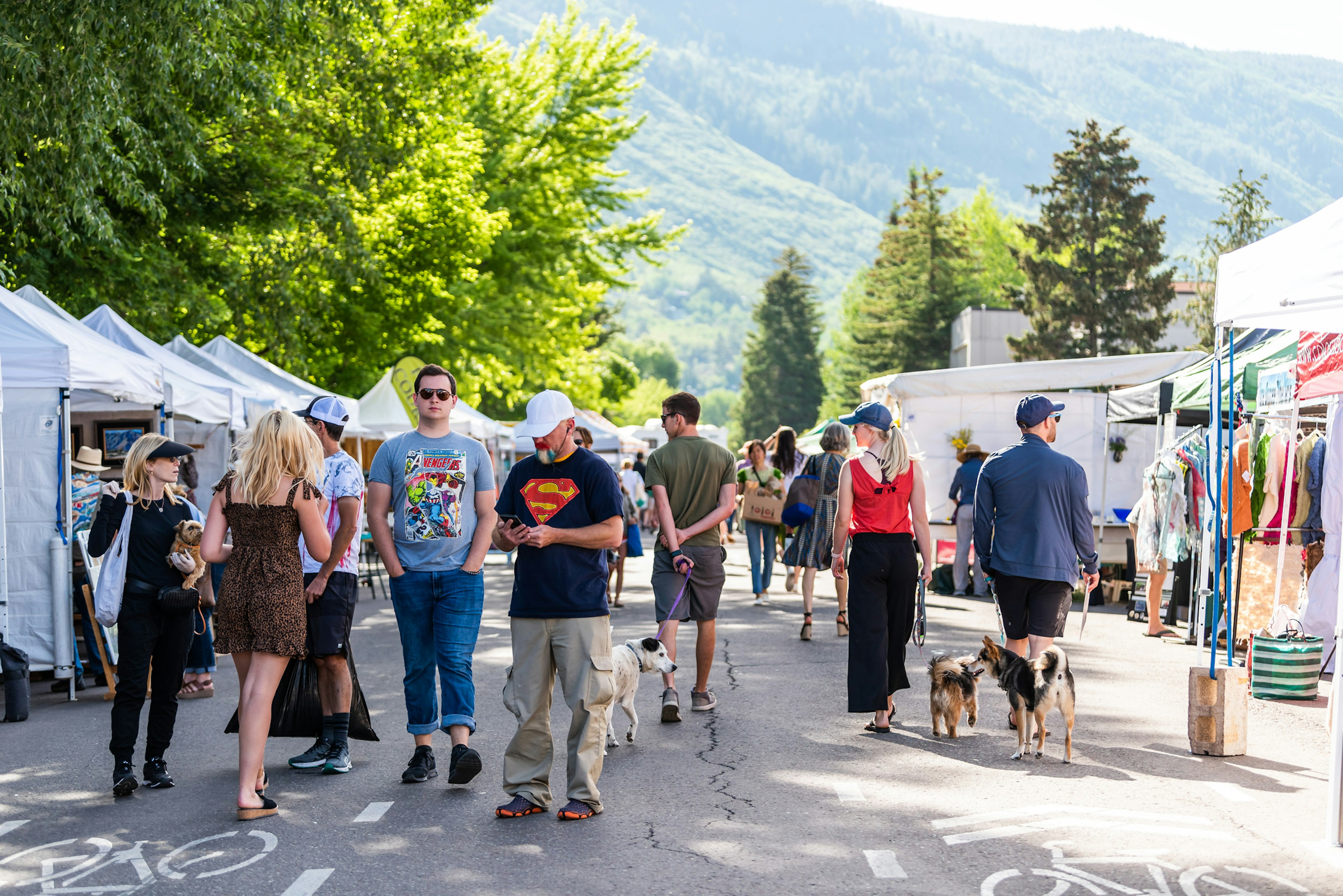 People walking by vendors selling products in stands in farmers market with displays in outdoor